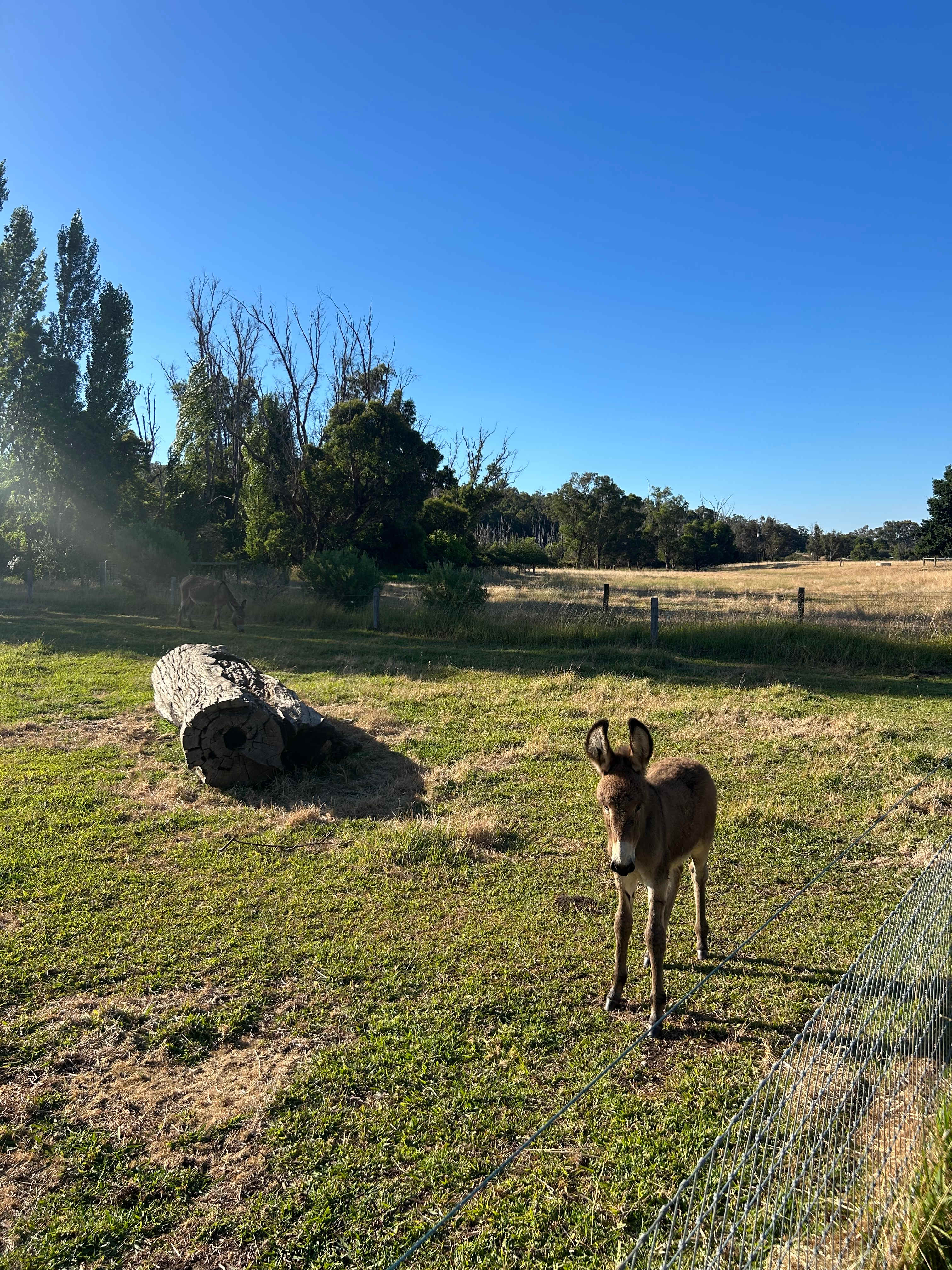 Brookhampton Valley Farm Getaway