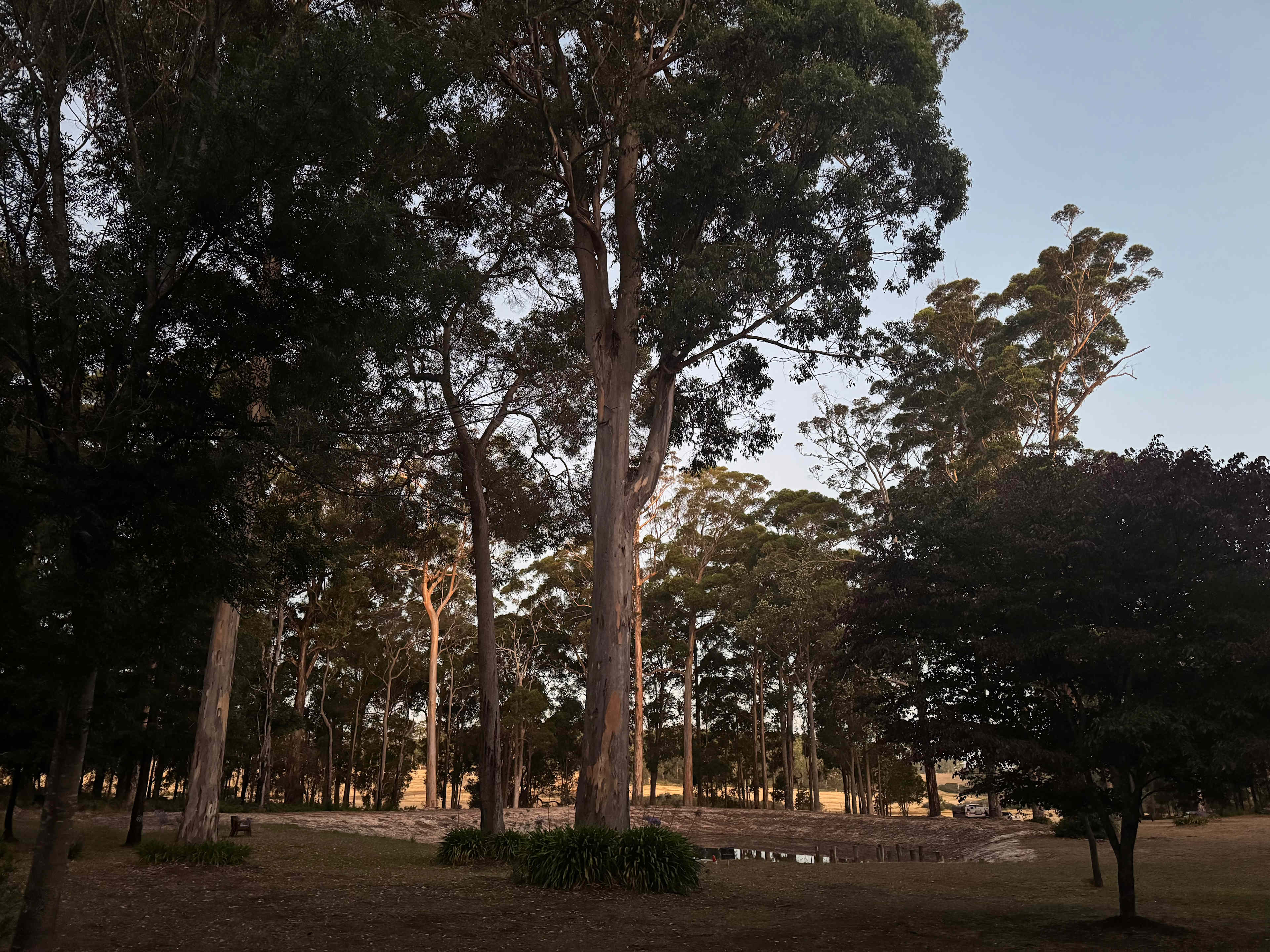 Highway Hideaway - Manjimup