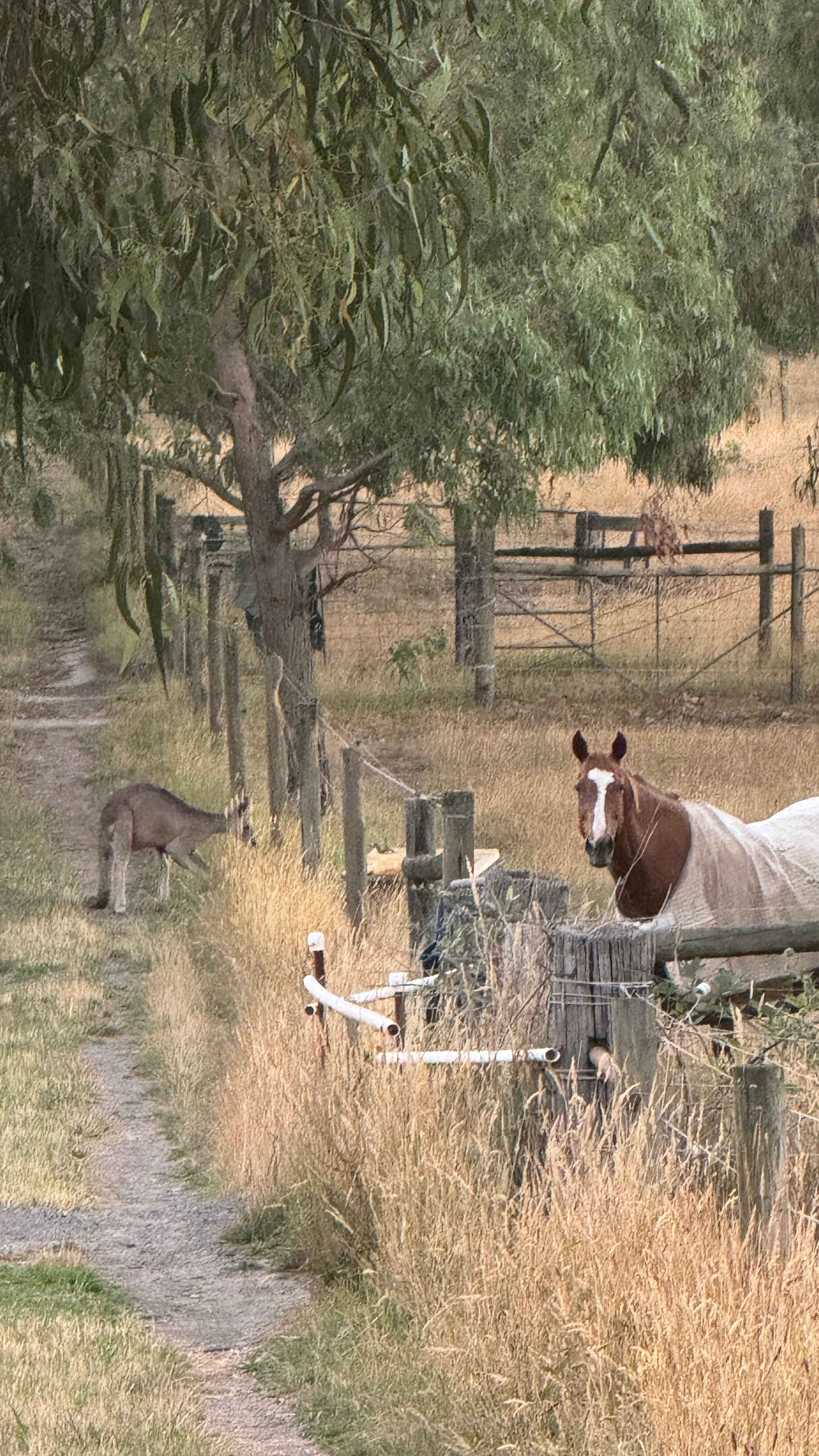 Kiernan Park Equestrian Centre