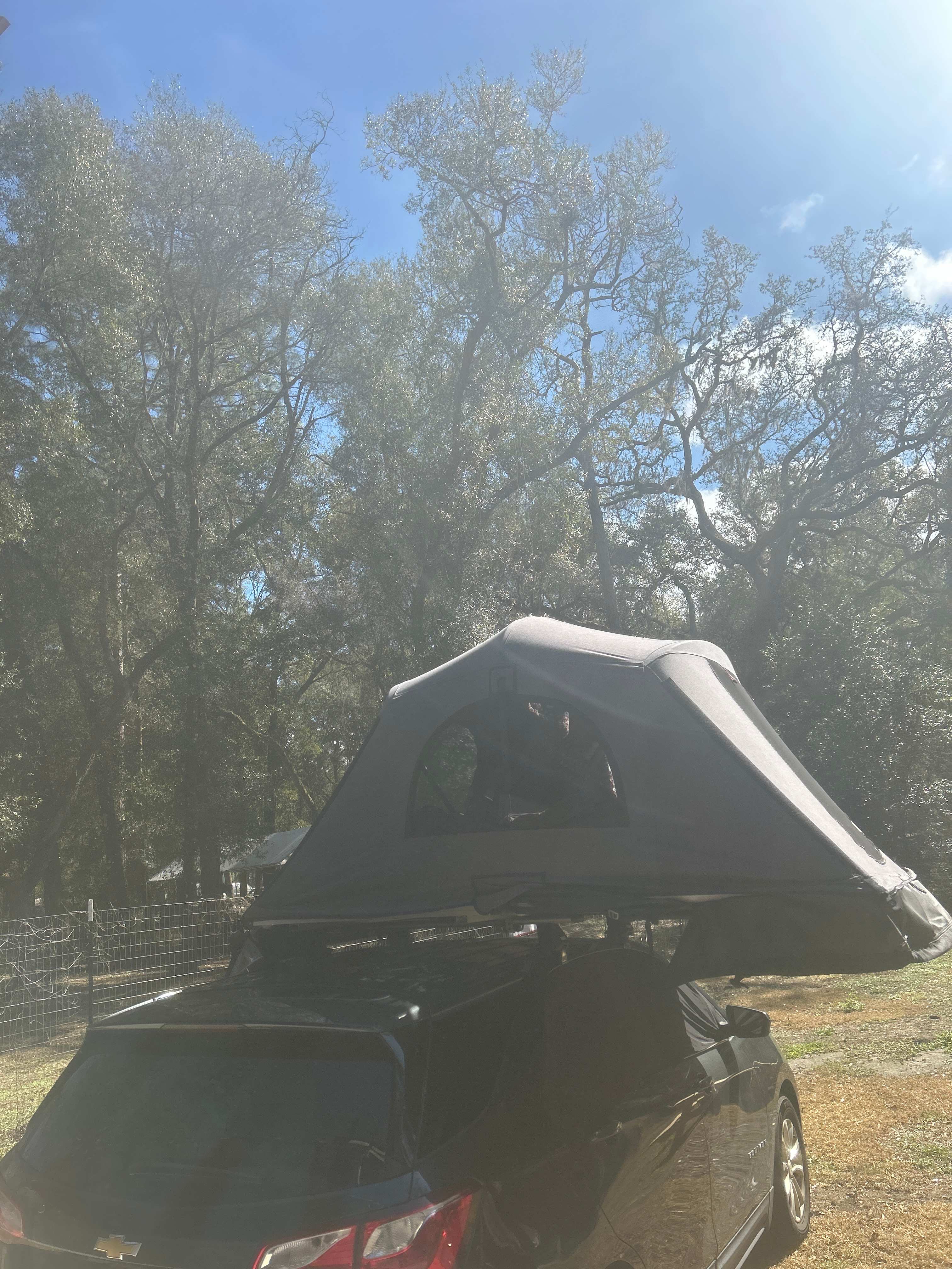 The Inn At The Forest