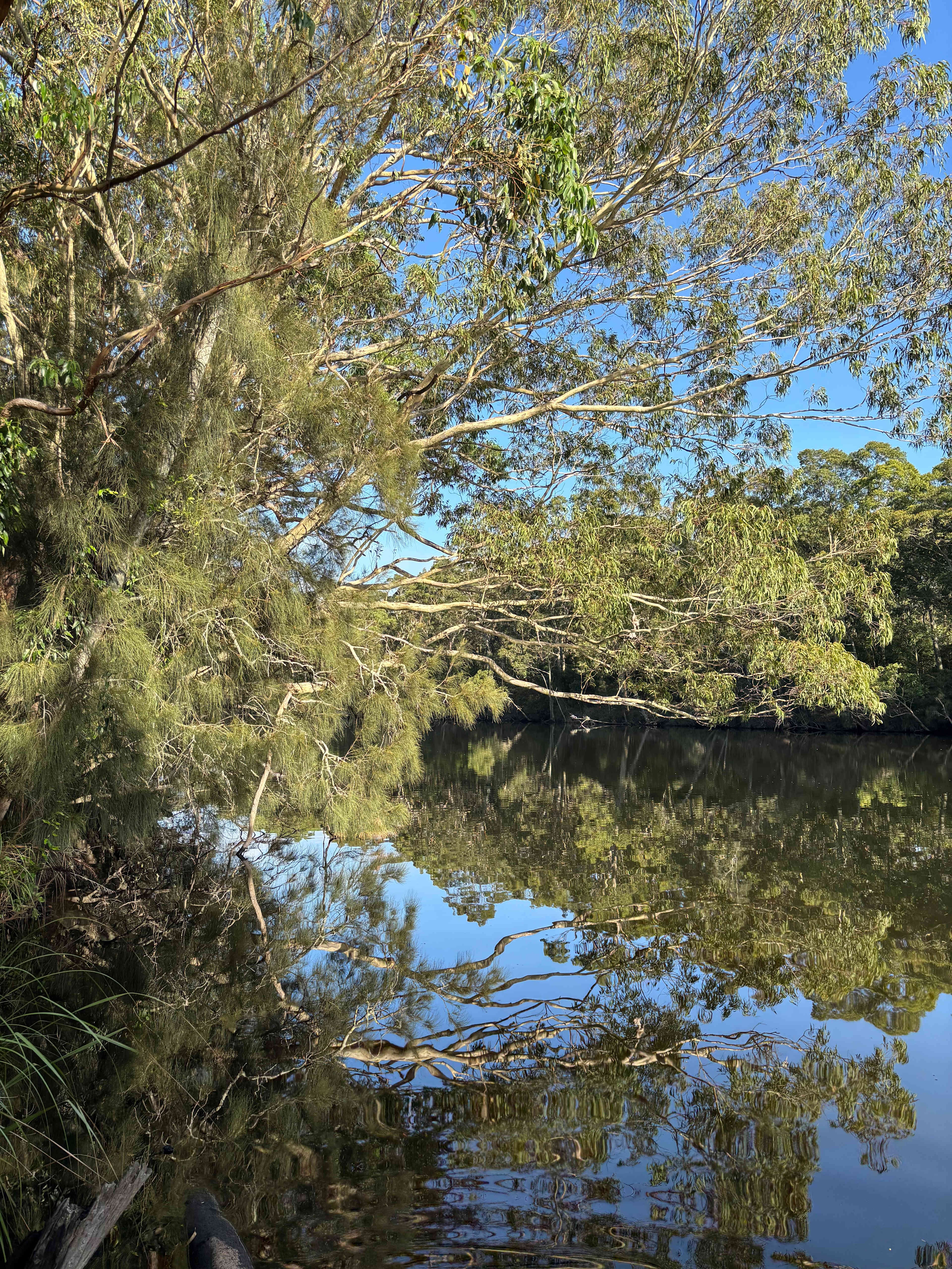 Babbling Brook 4WD Camping