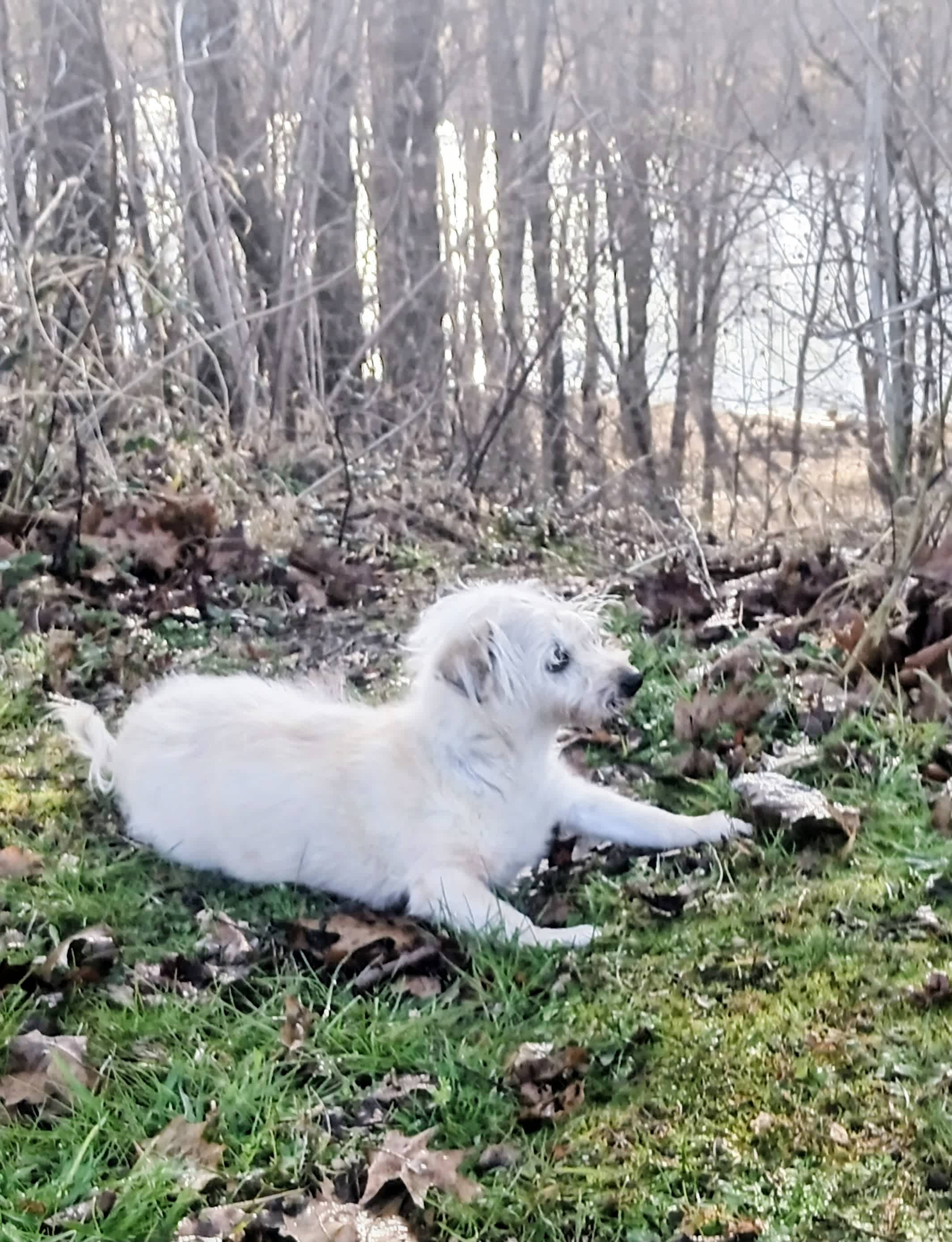 Clayton Geneva Memorial Camp Ground