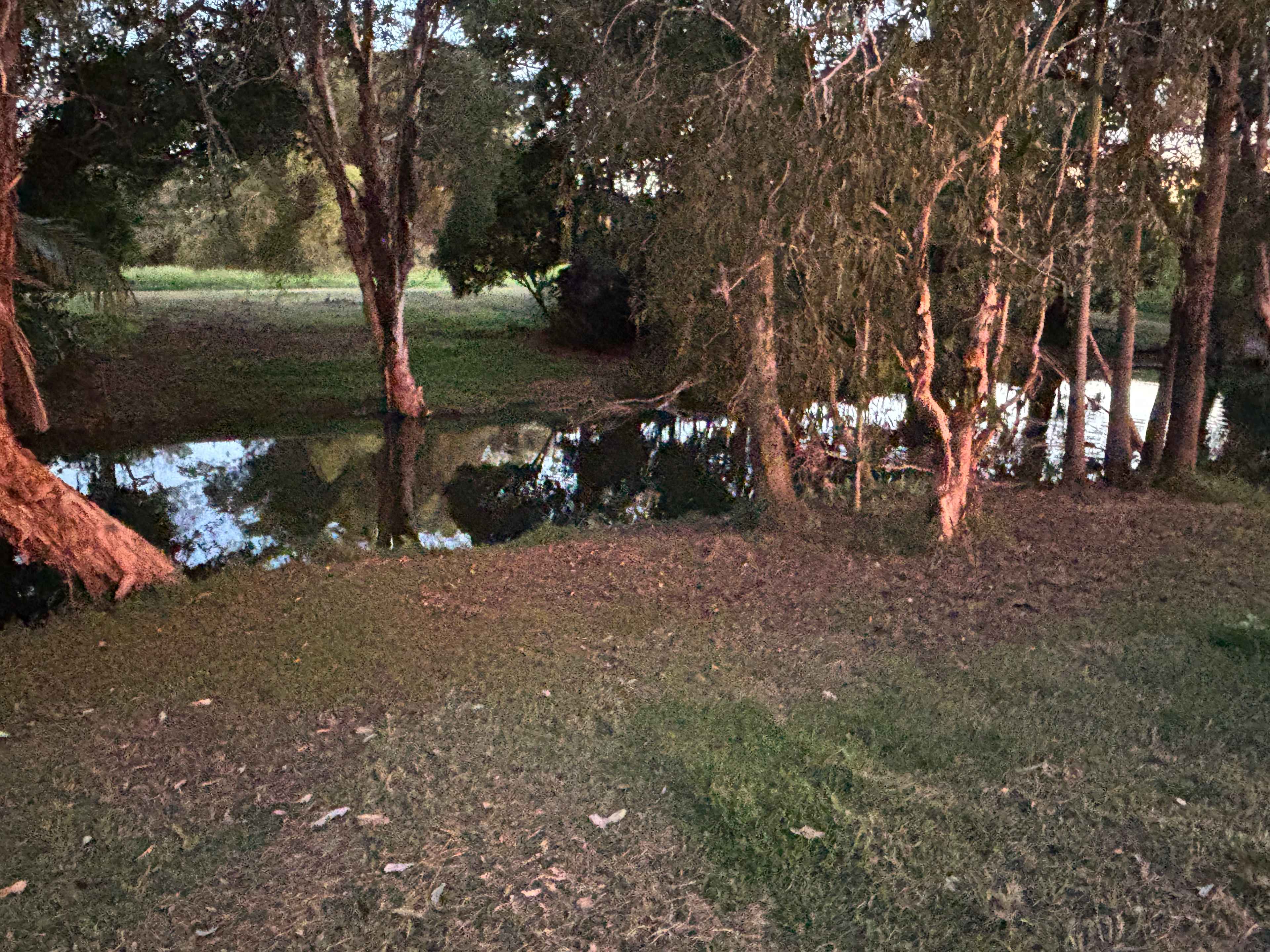 Ilbilbie Station Farm Stay