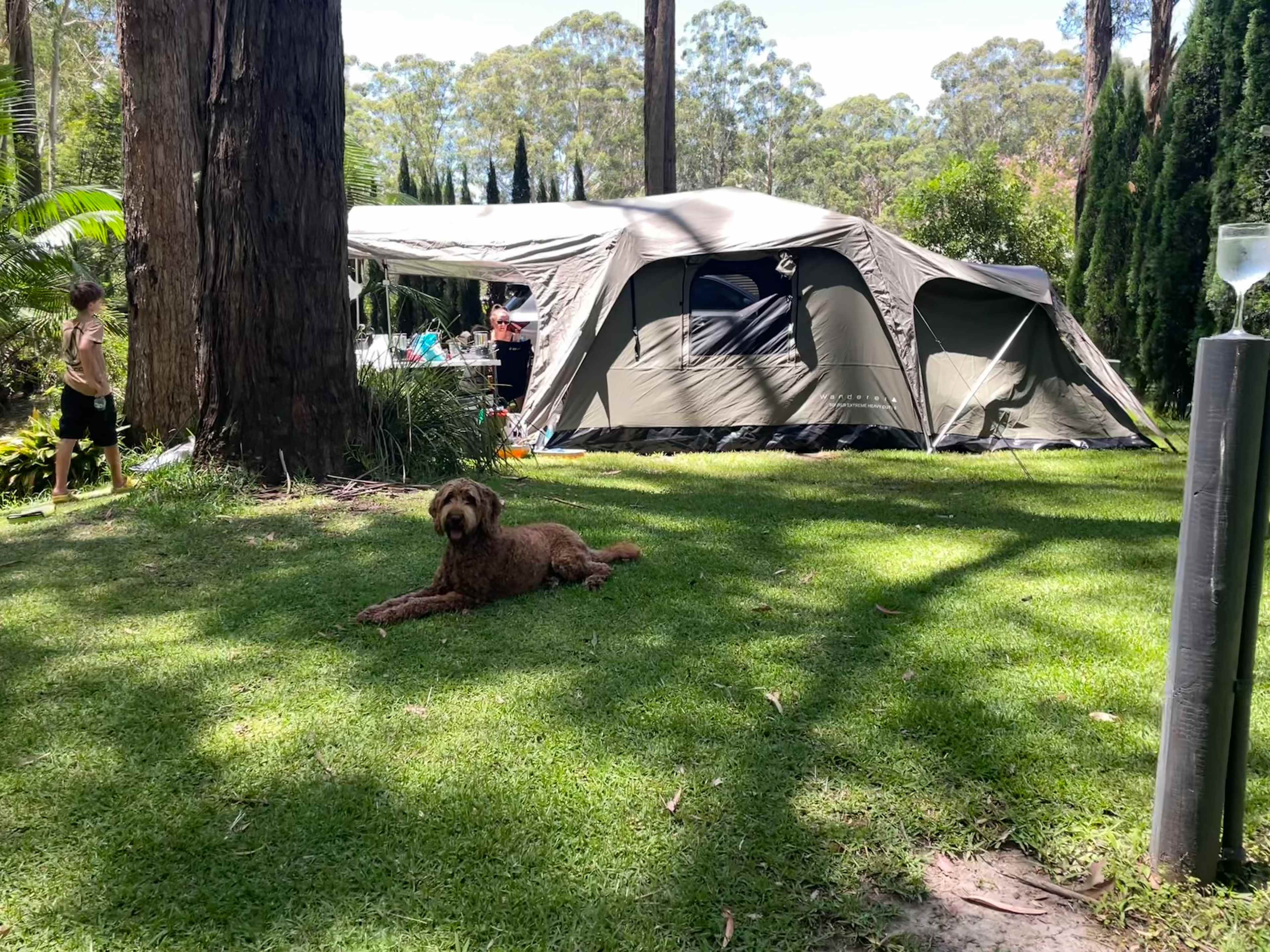 Mistinthegumtrees BUDGET 2 GLAMPING