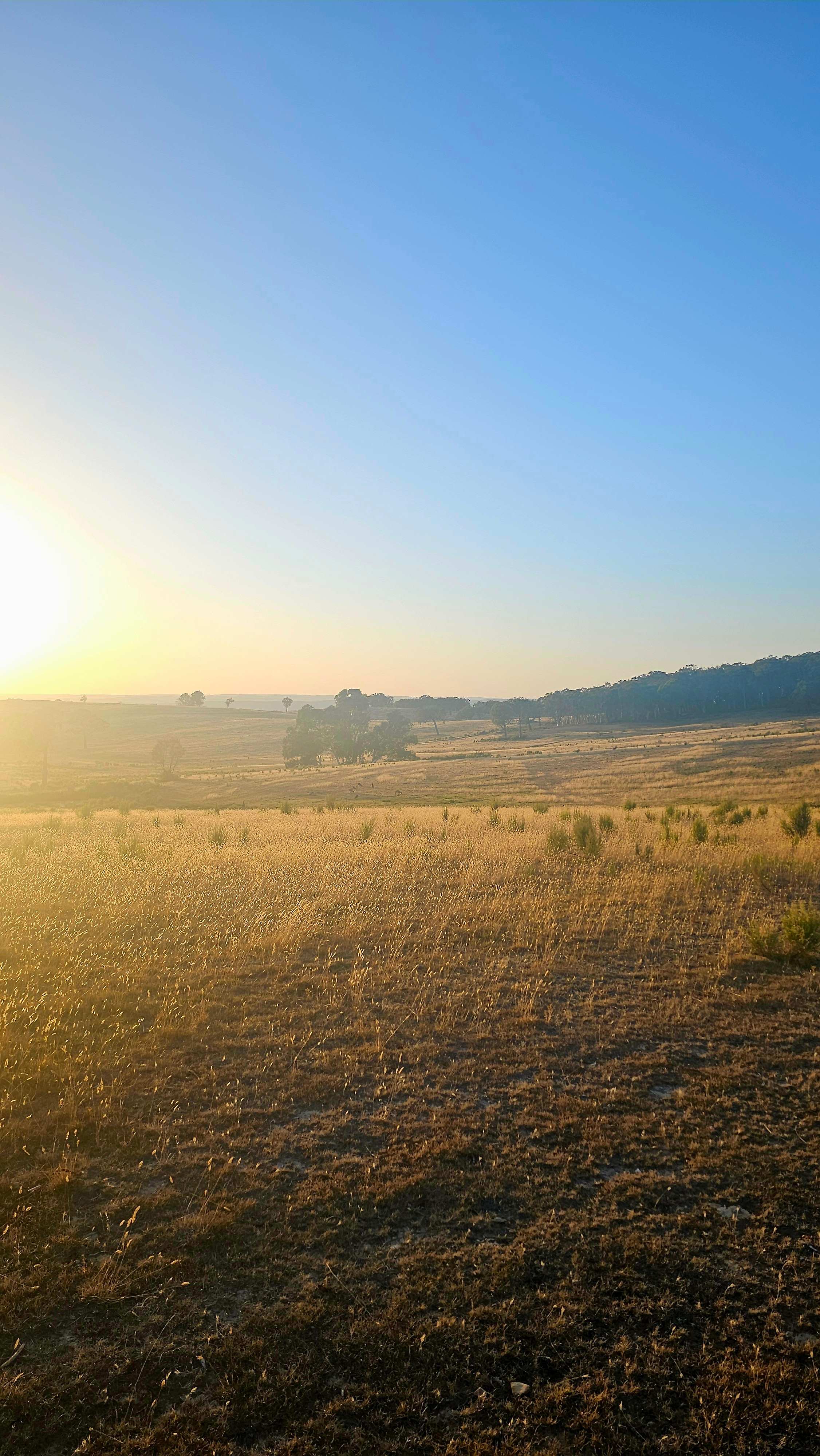 Mount Testa Campgrounds