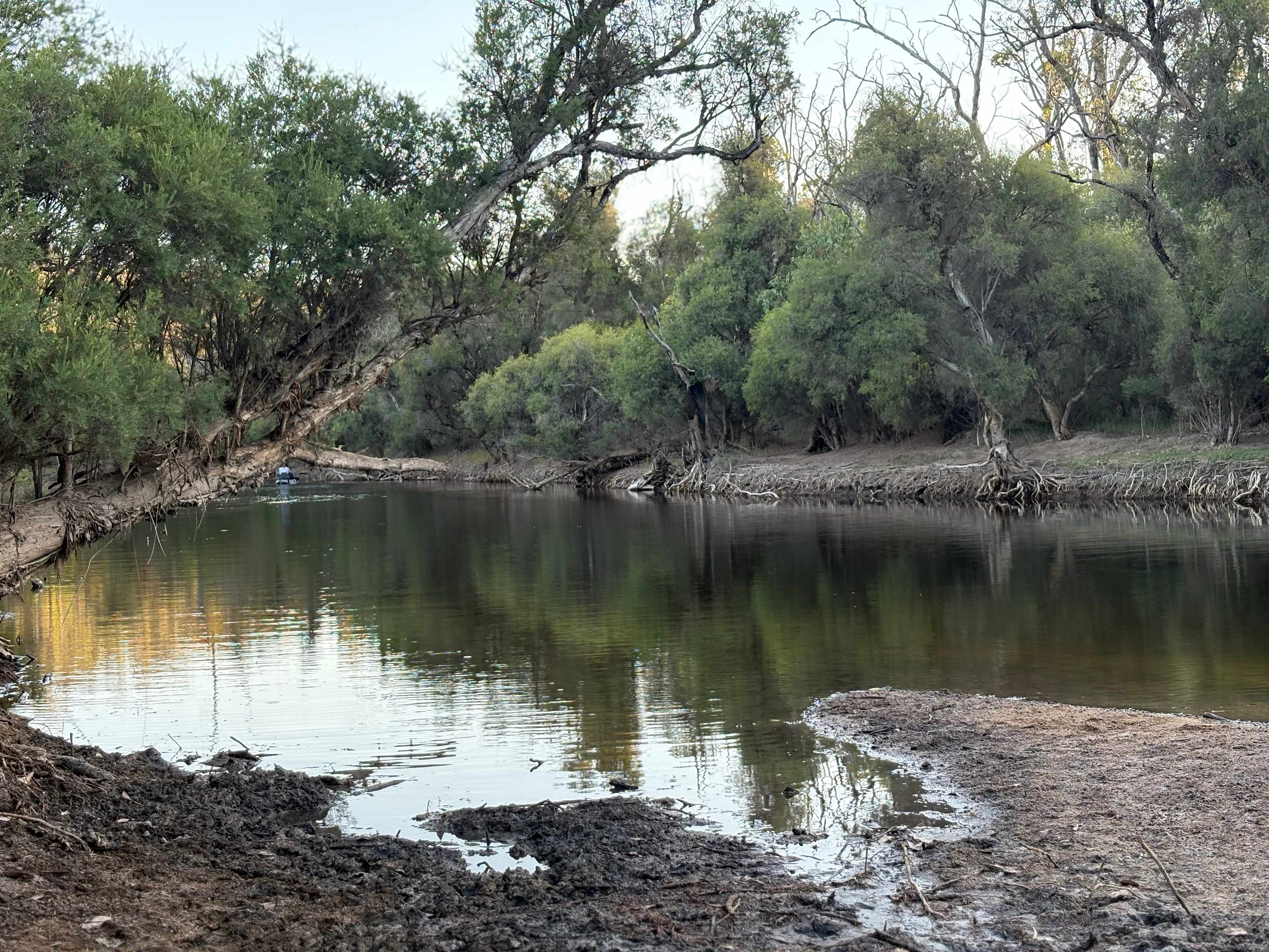 Murray Valley Camping