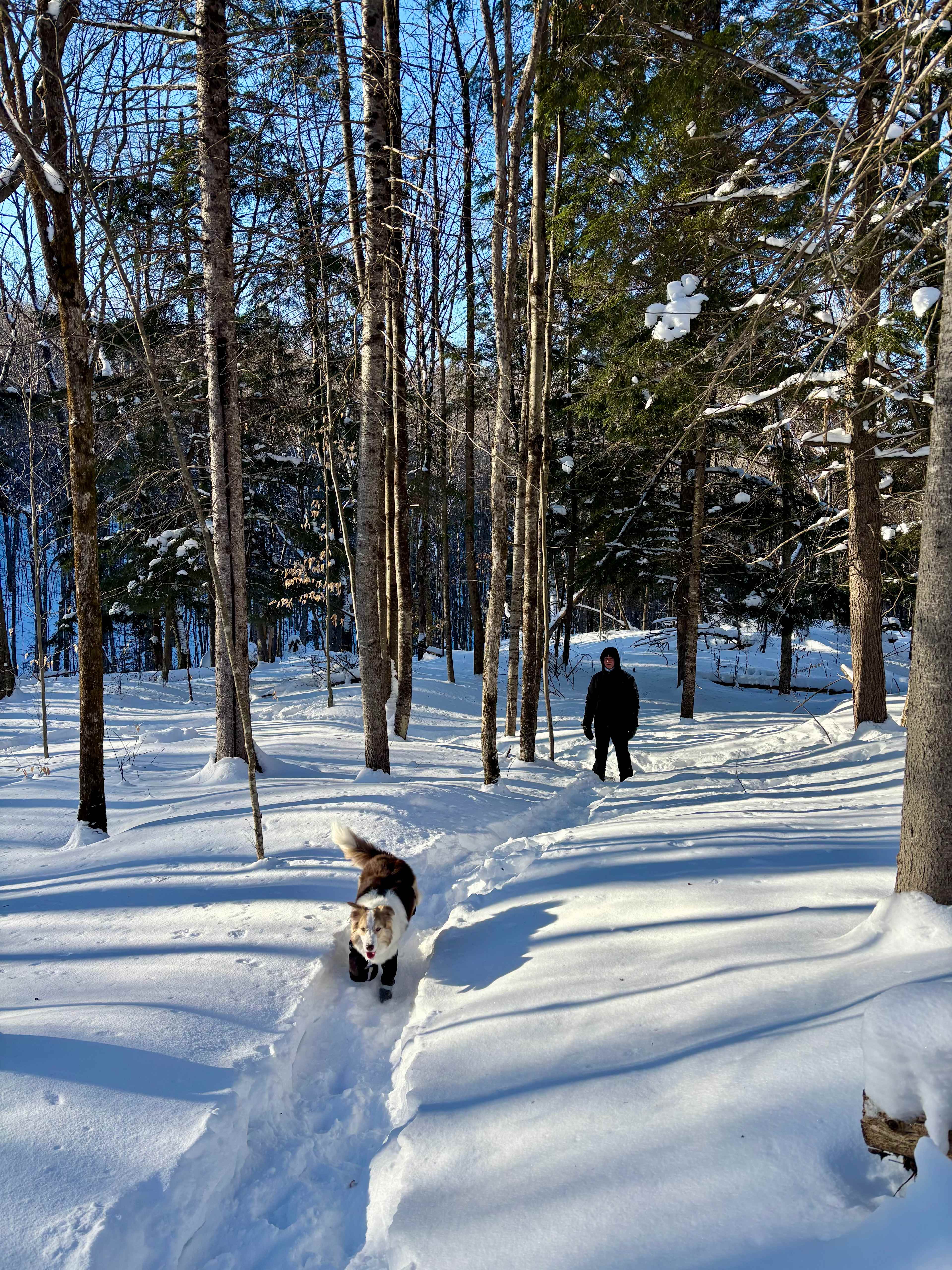 Endless beauty and freedom to explore