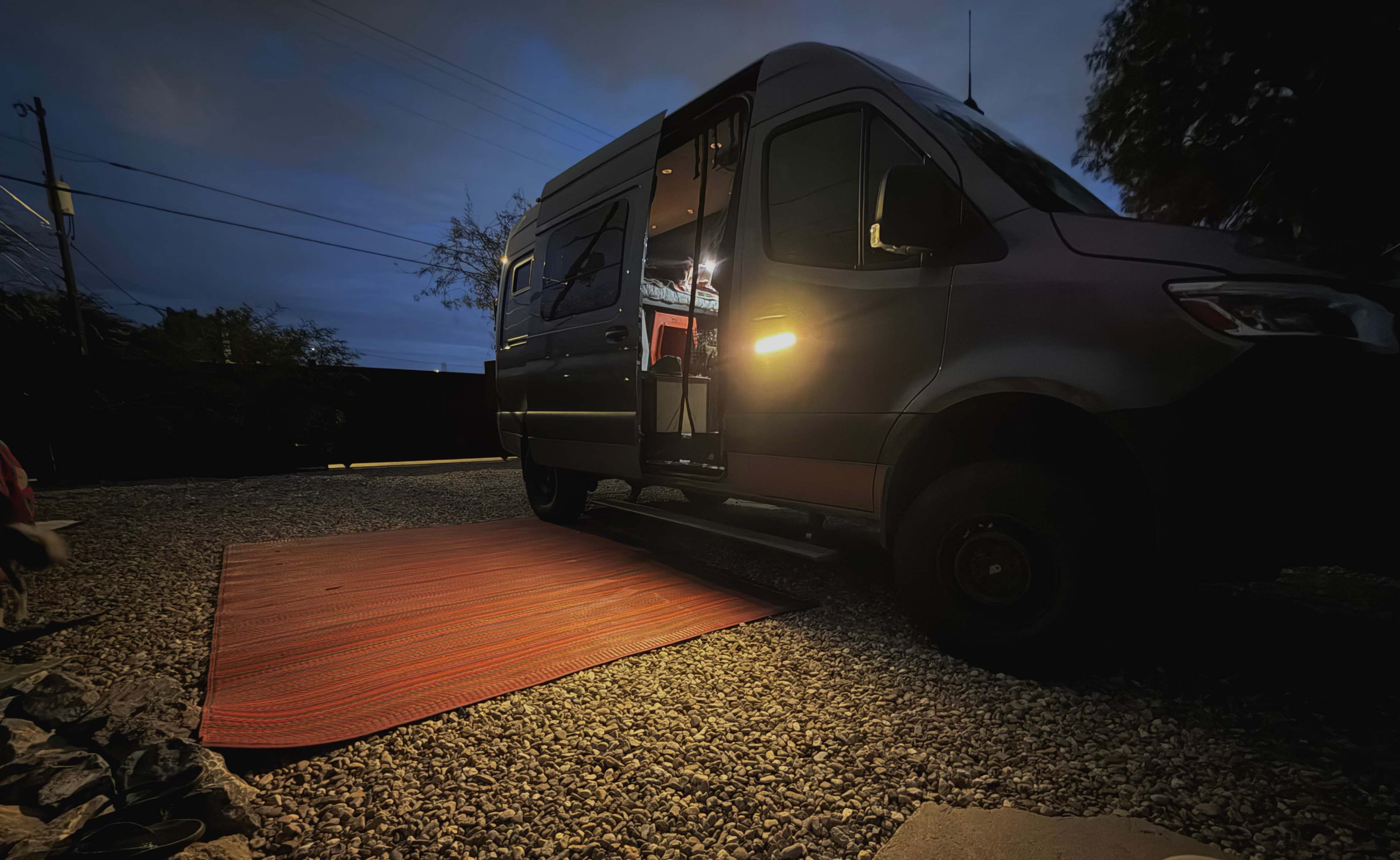 Roadrunner Tucson Birds and Cacti