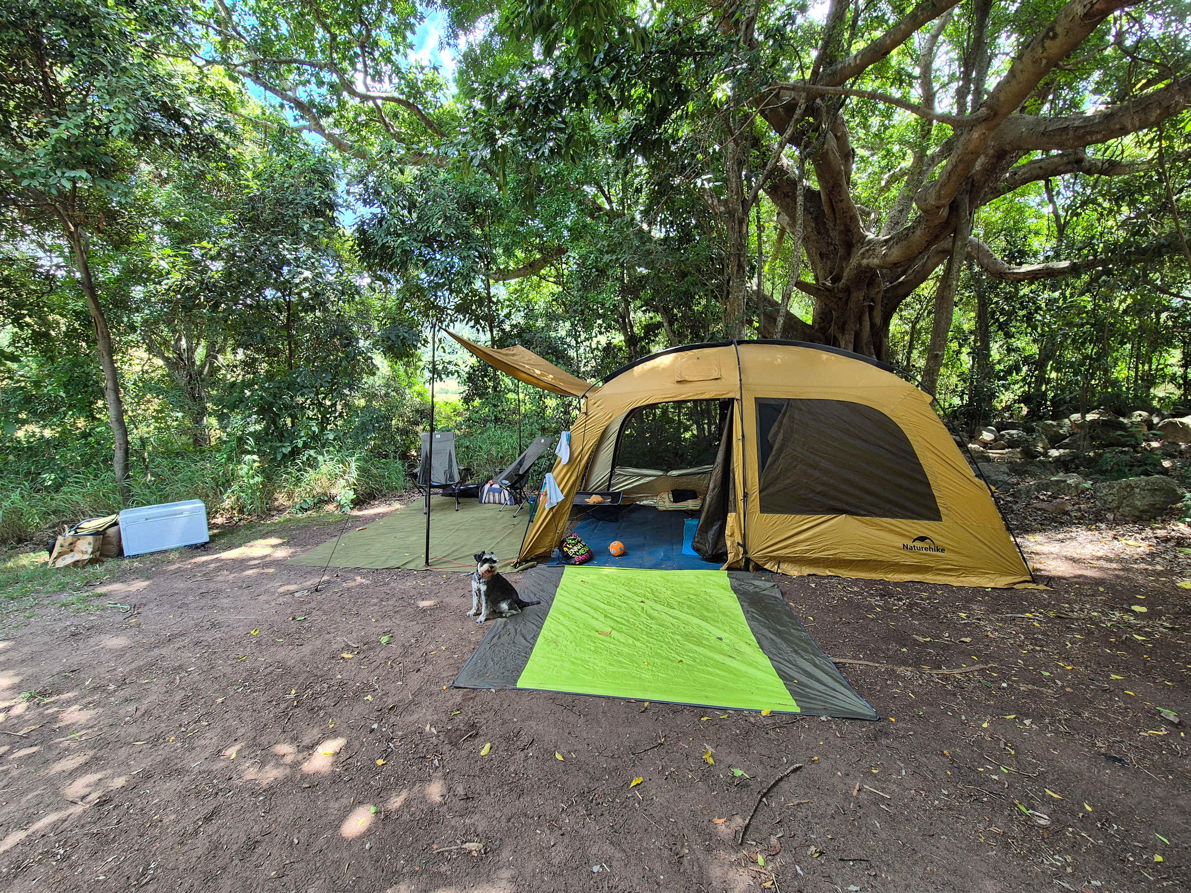 Hopevale Adventure Camping