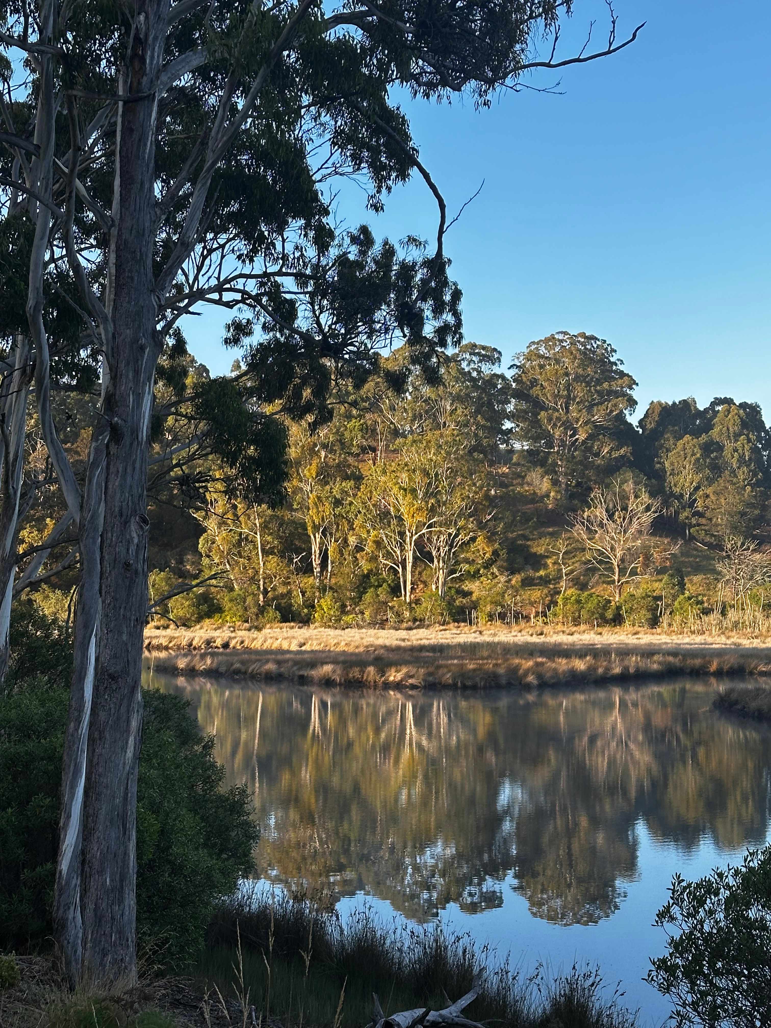 View from our caravan site 