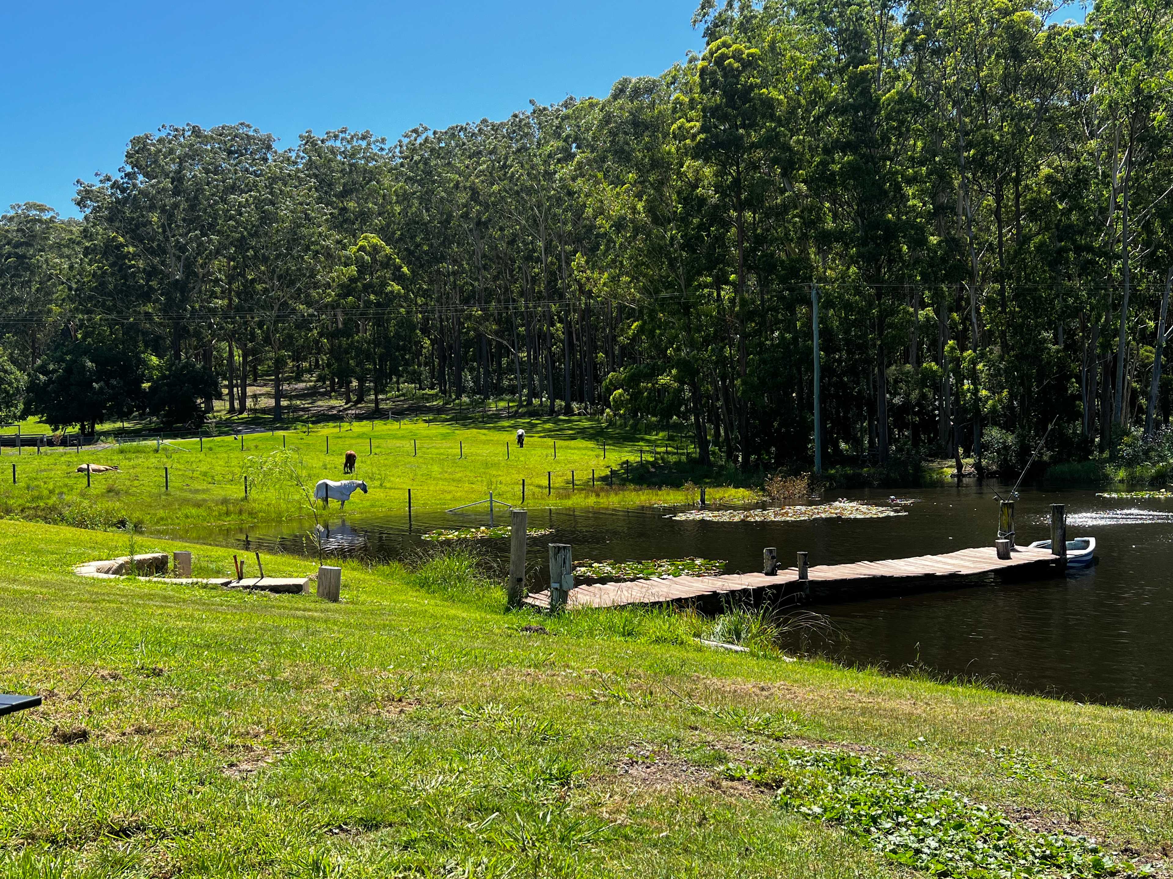 Views across to the paddocks. 