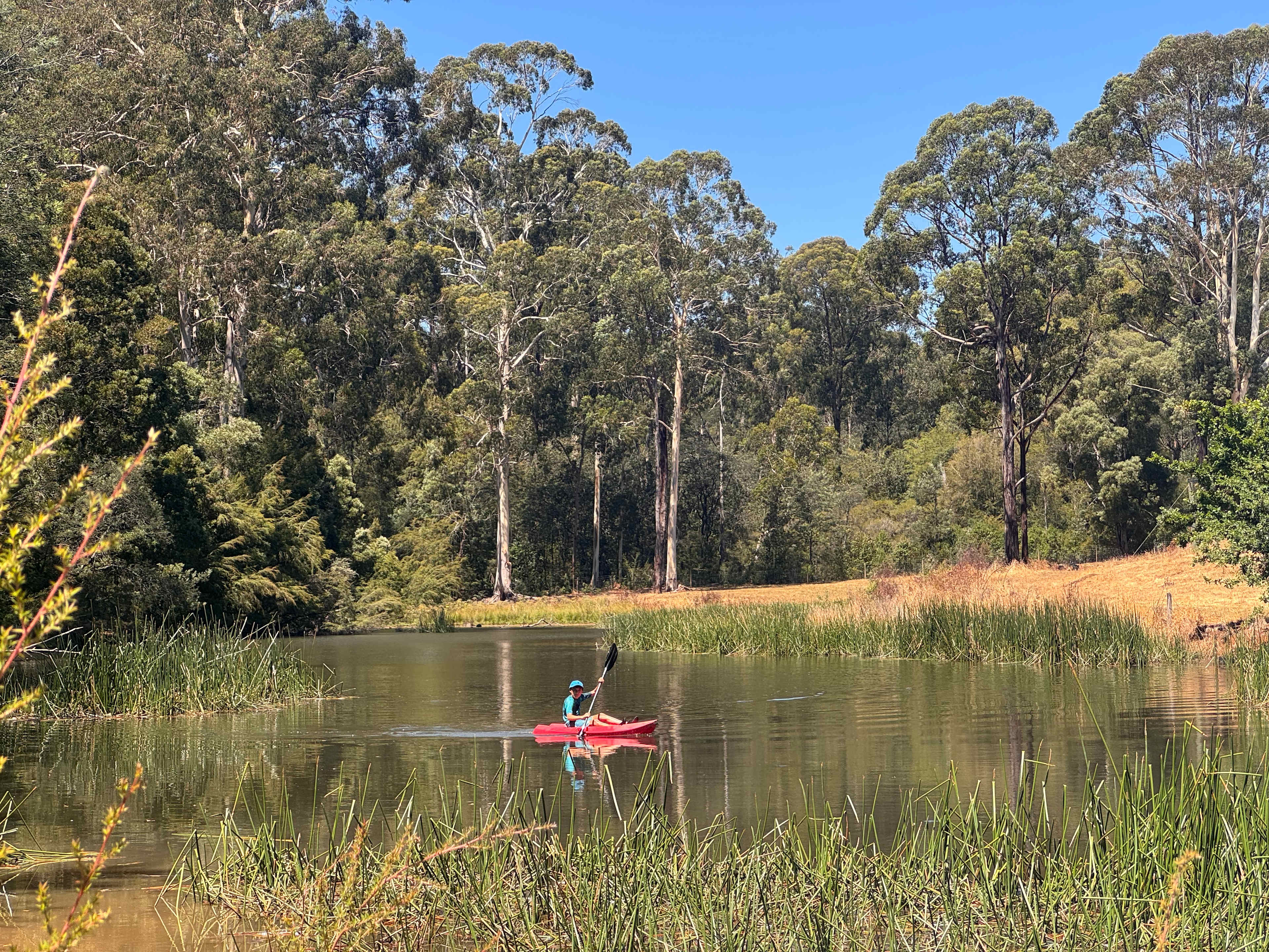 Nerrigundah Contrée Sauvage