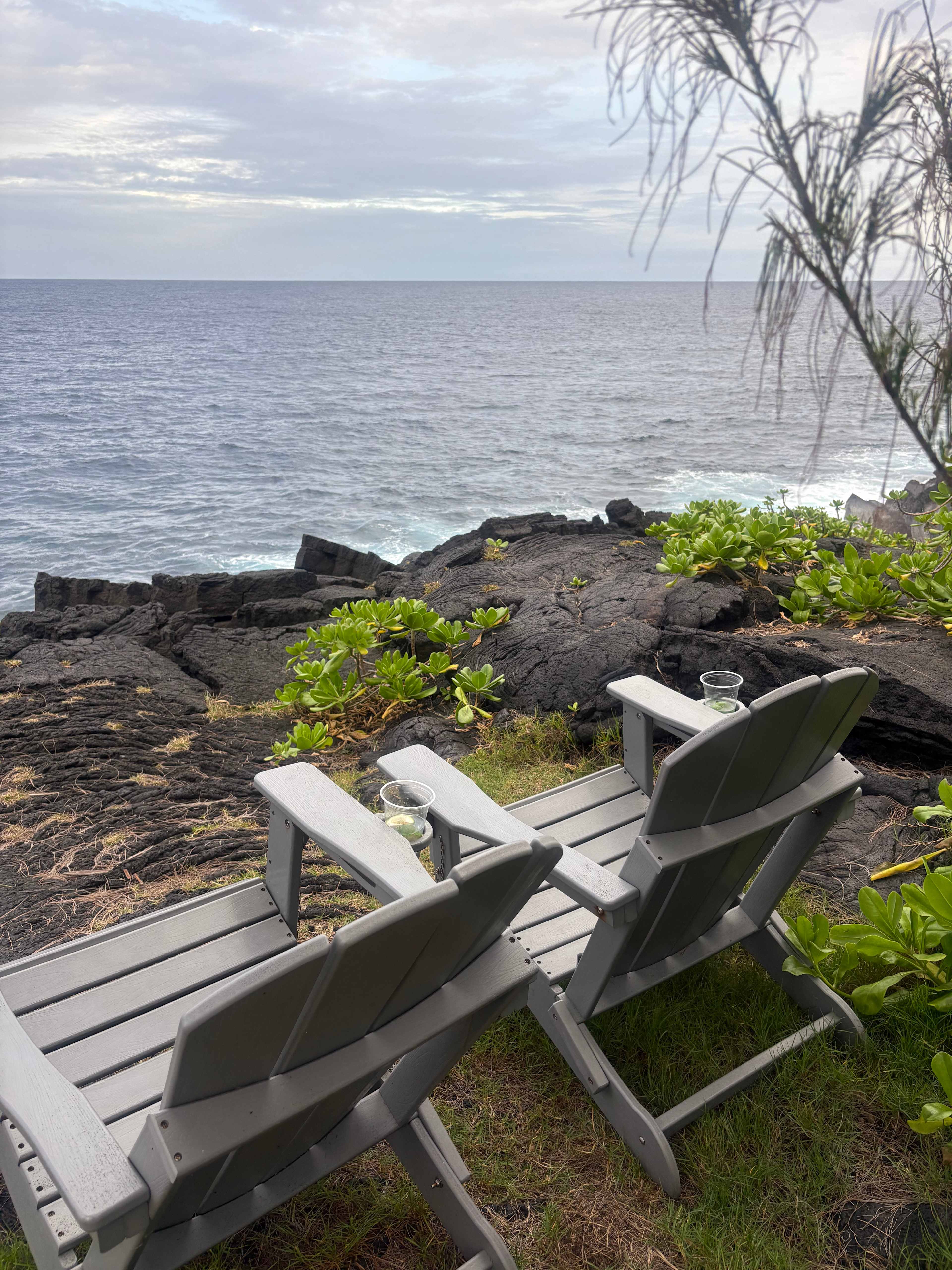 Wild Blue Water Ranch