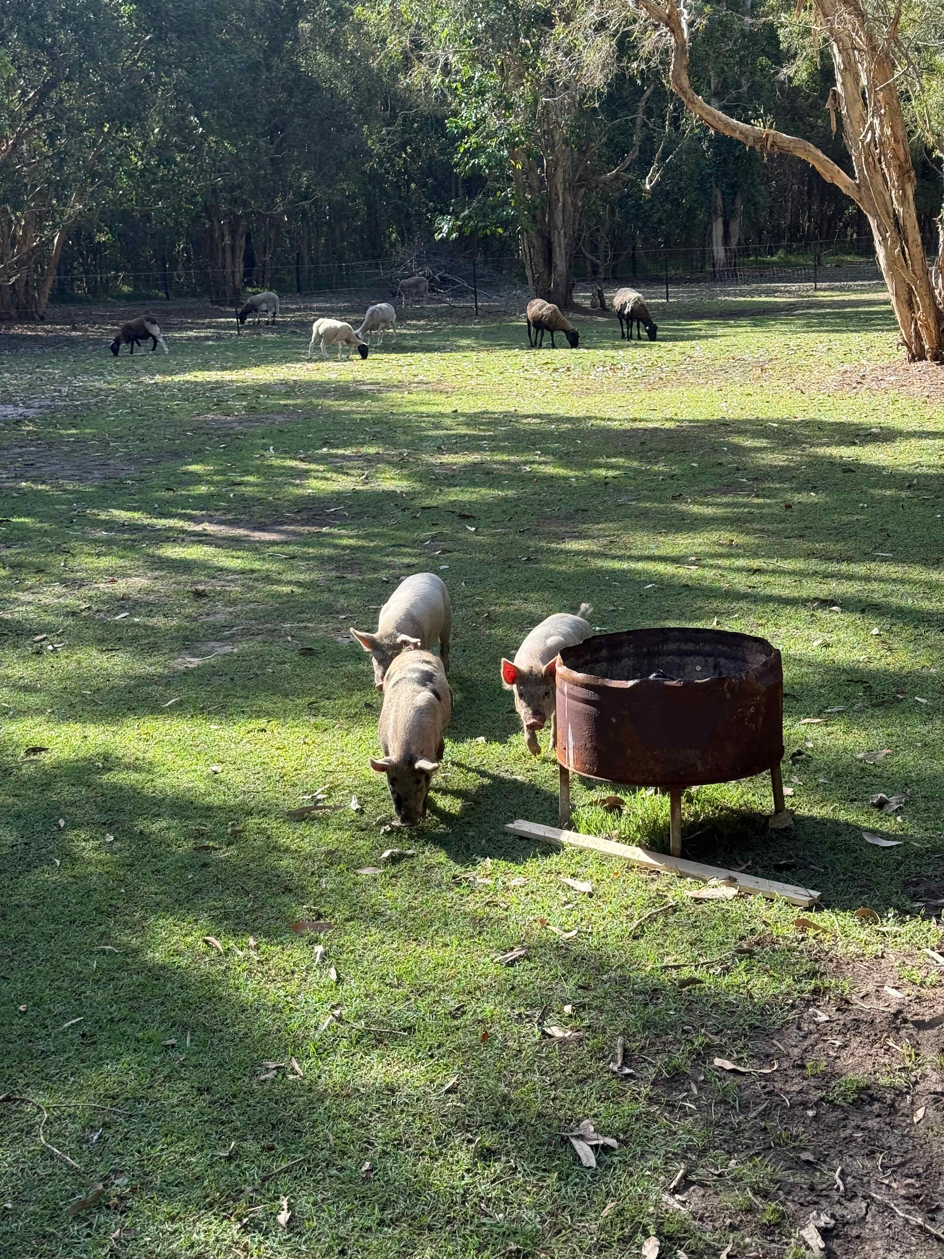 Paperbark Camp & Farm Stay