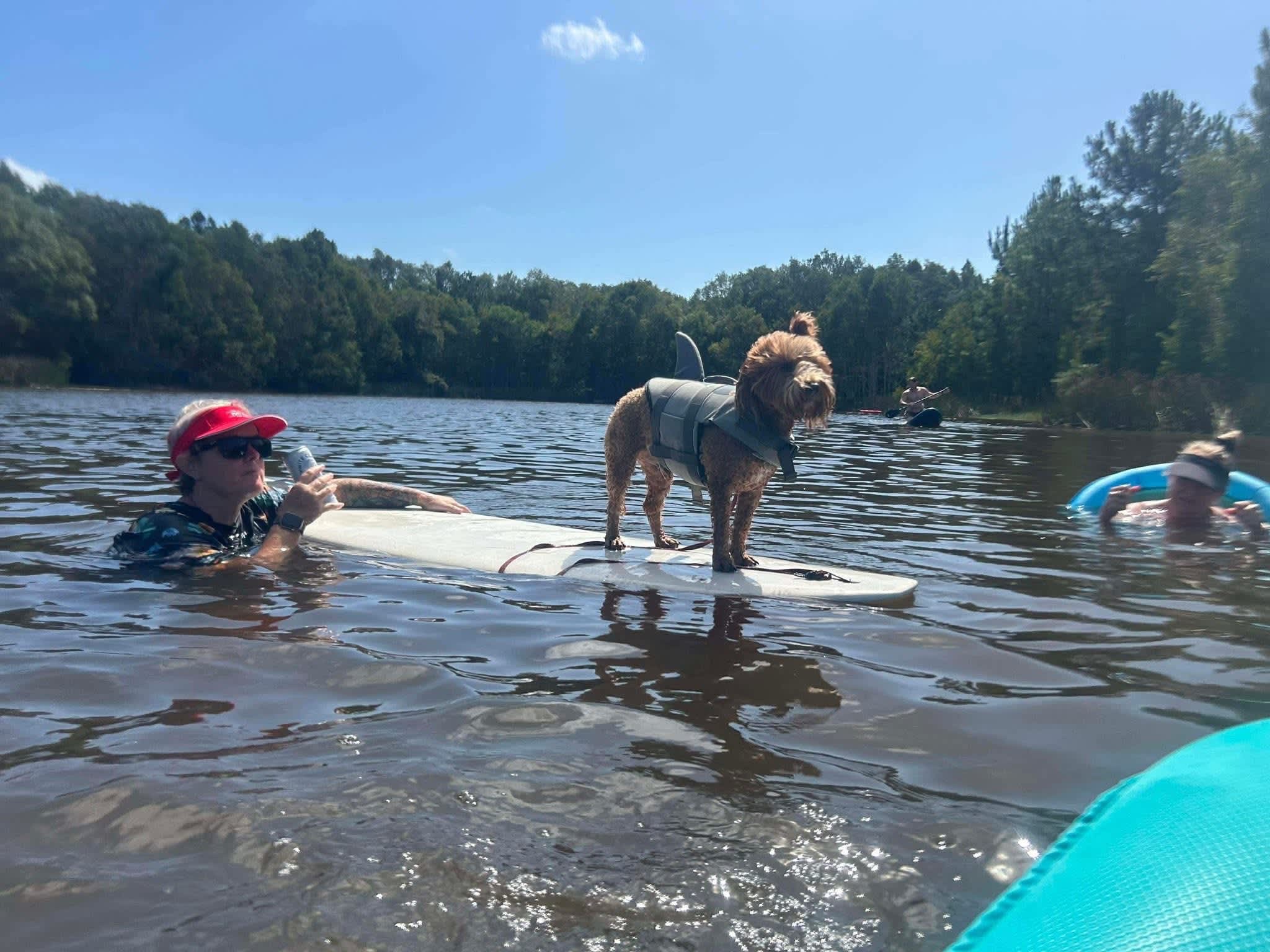 Bushywood at Woodfordskilake