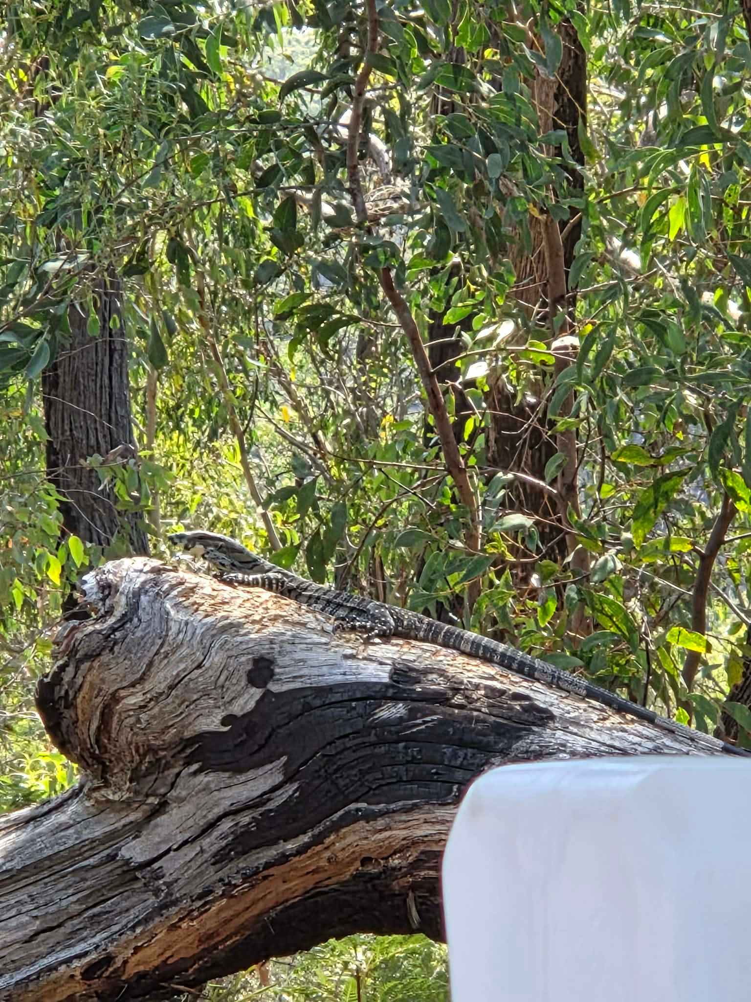 Monastery of 11 Strings