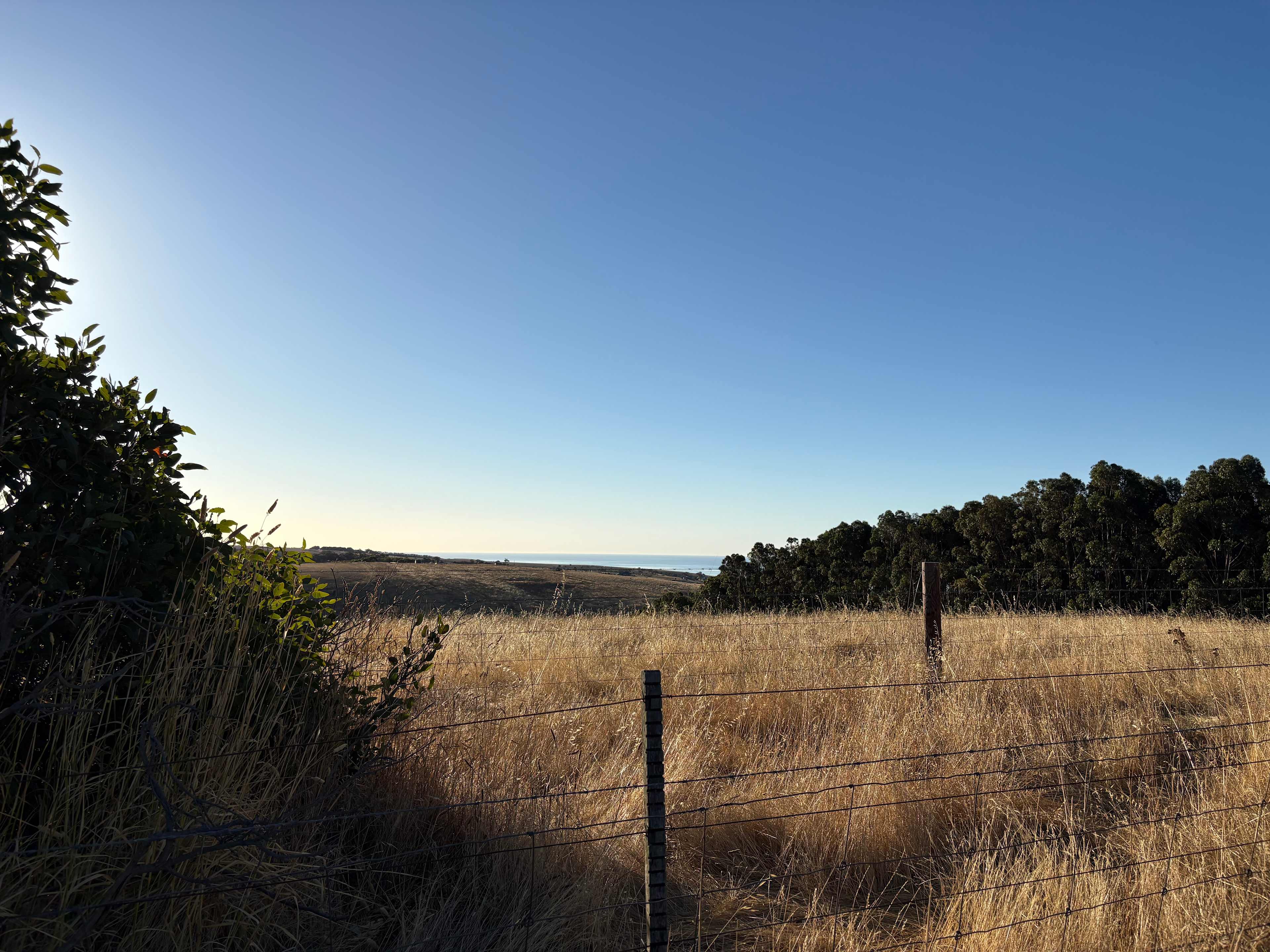 Koala Coast Retreat Farm