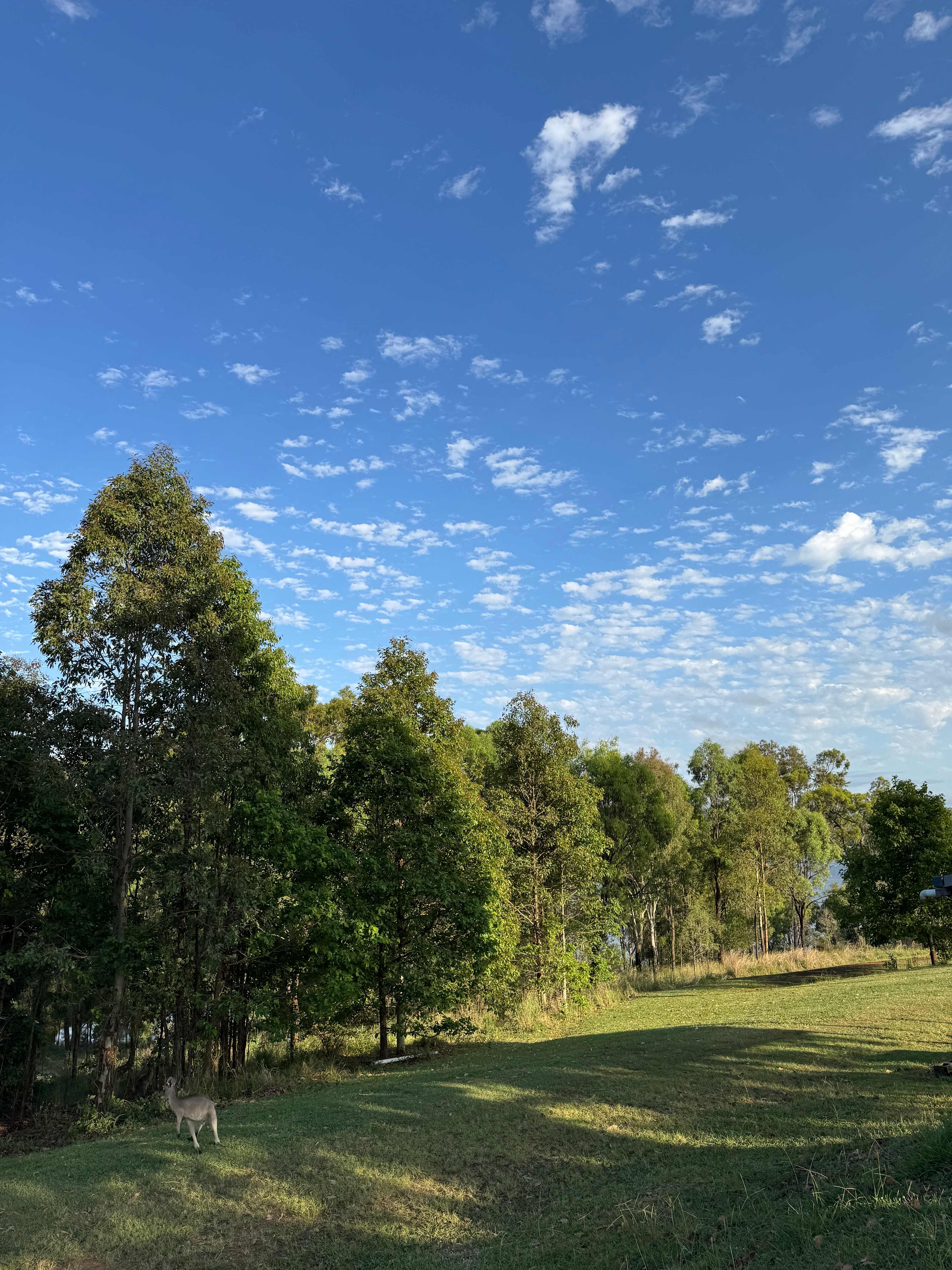 Pointro Bunkhouse and Campground