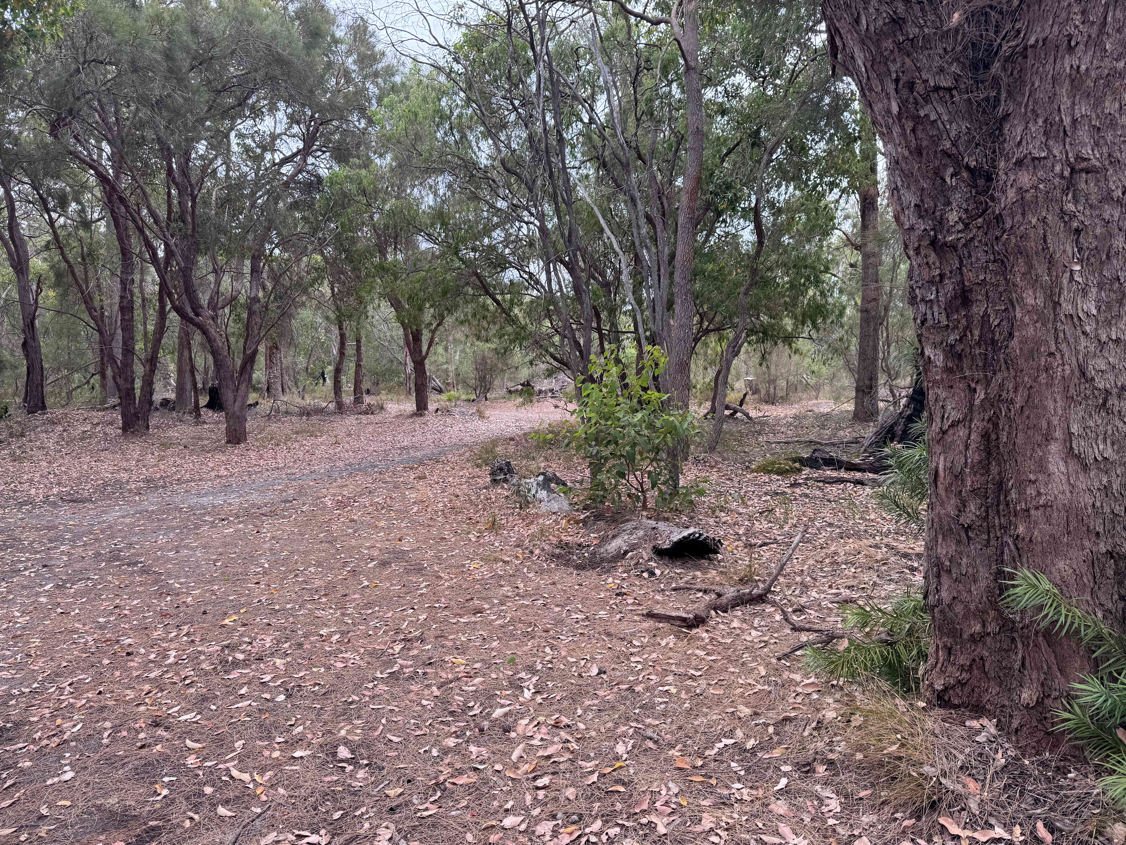 South West Central Bush Block