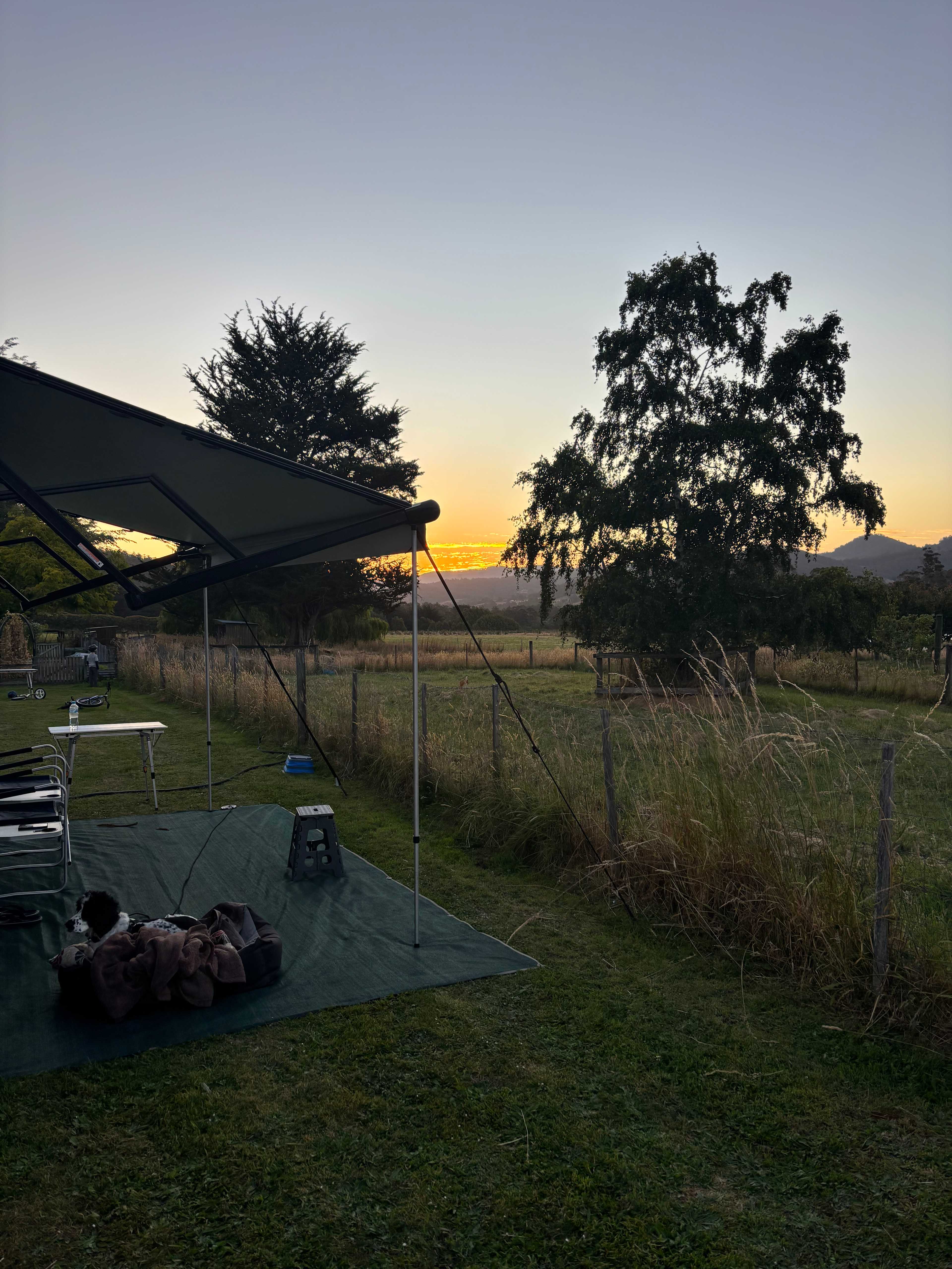 Misty mountain homestead