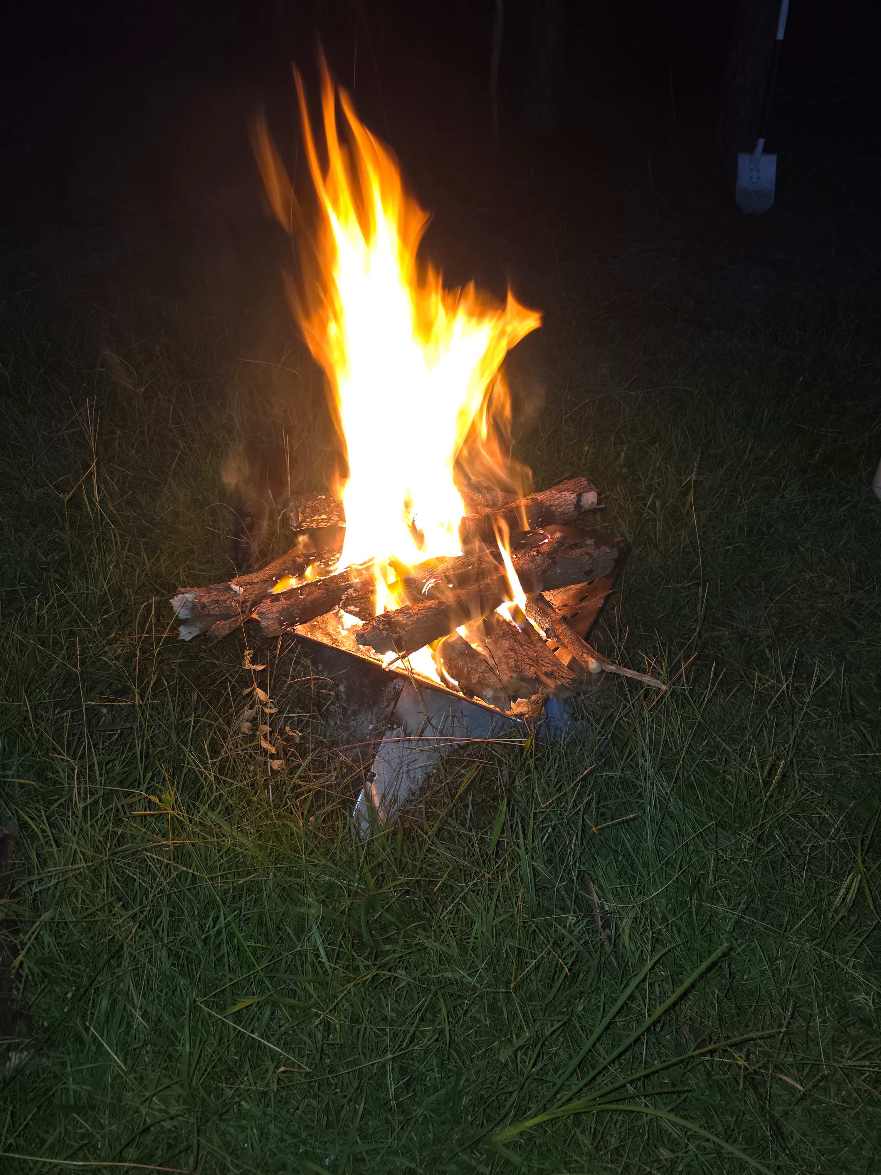 Warrego Warmblood Stud