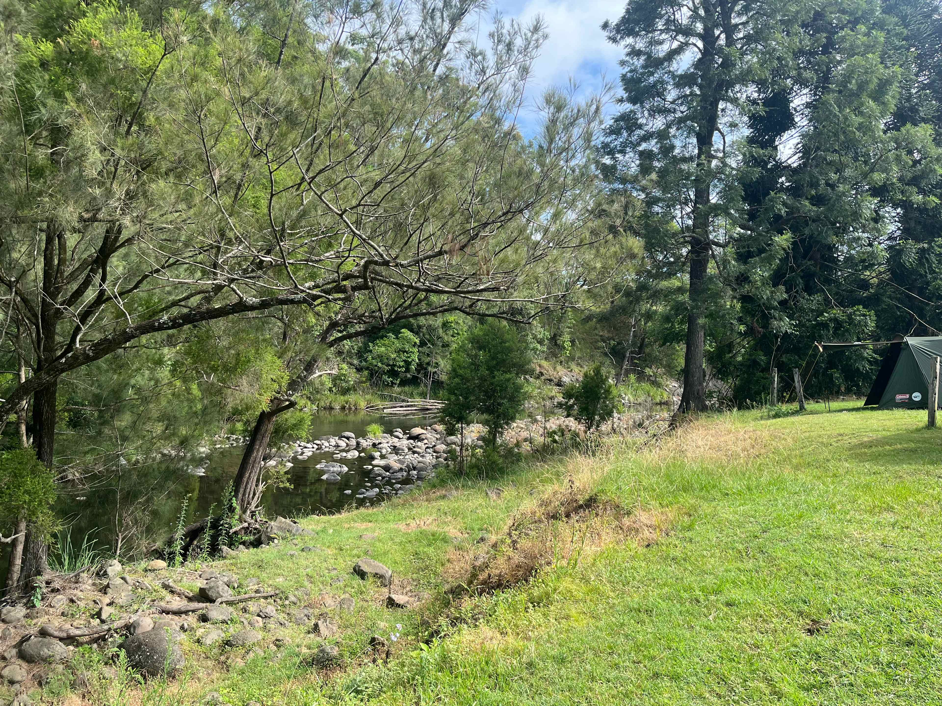 Sarabah Creek Camping