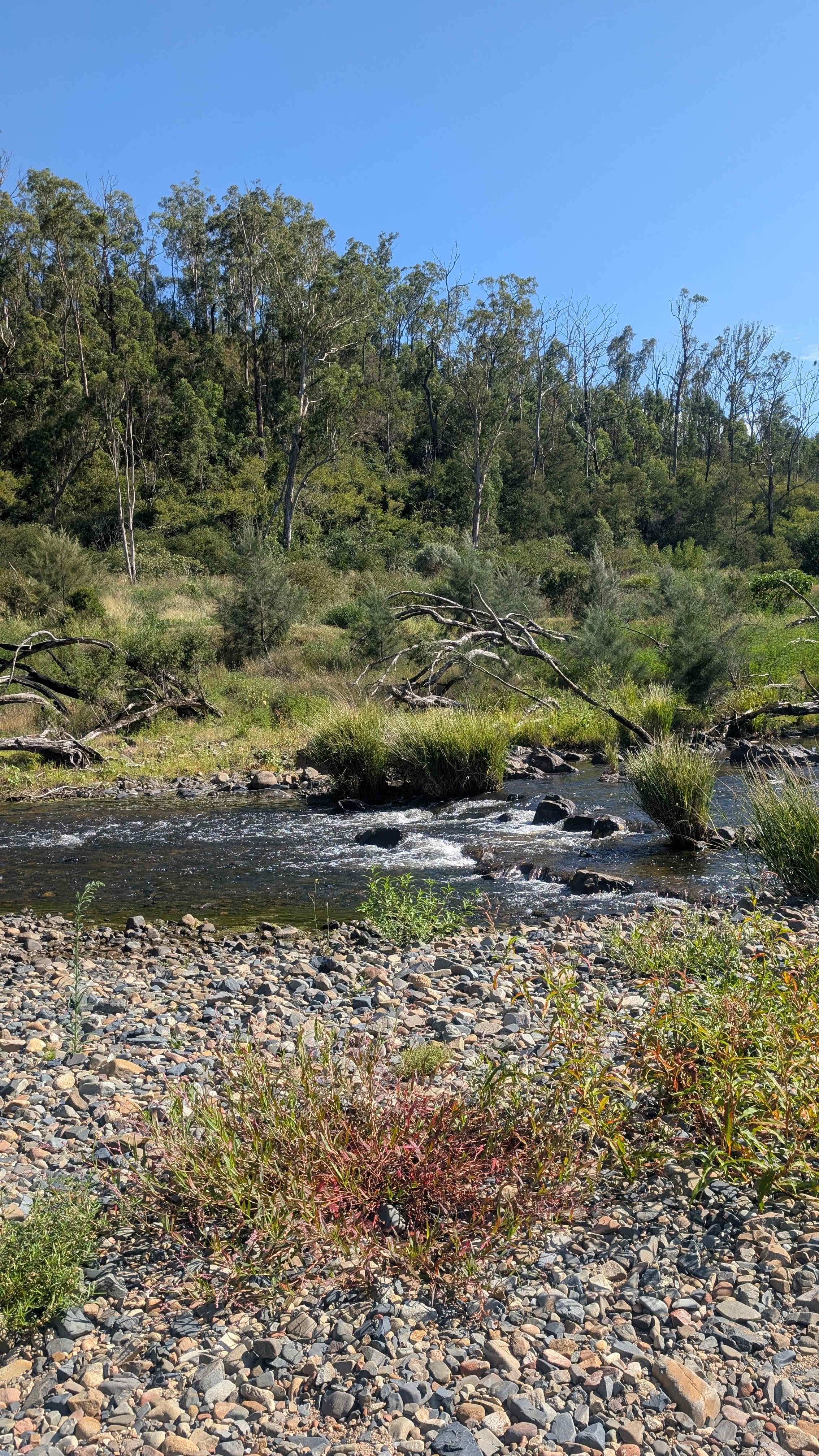 Clarence River Wilderness Lodge