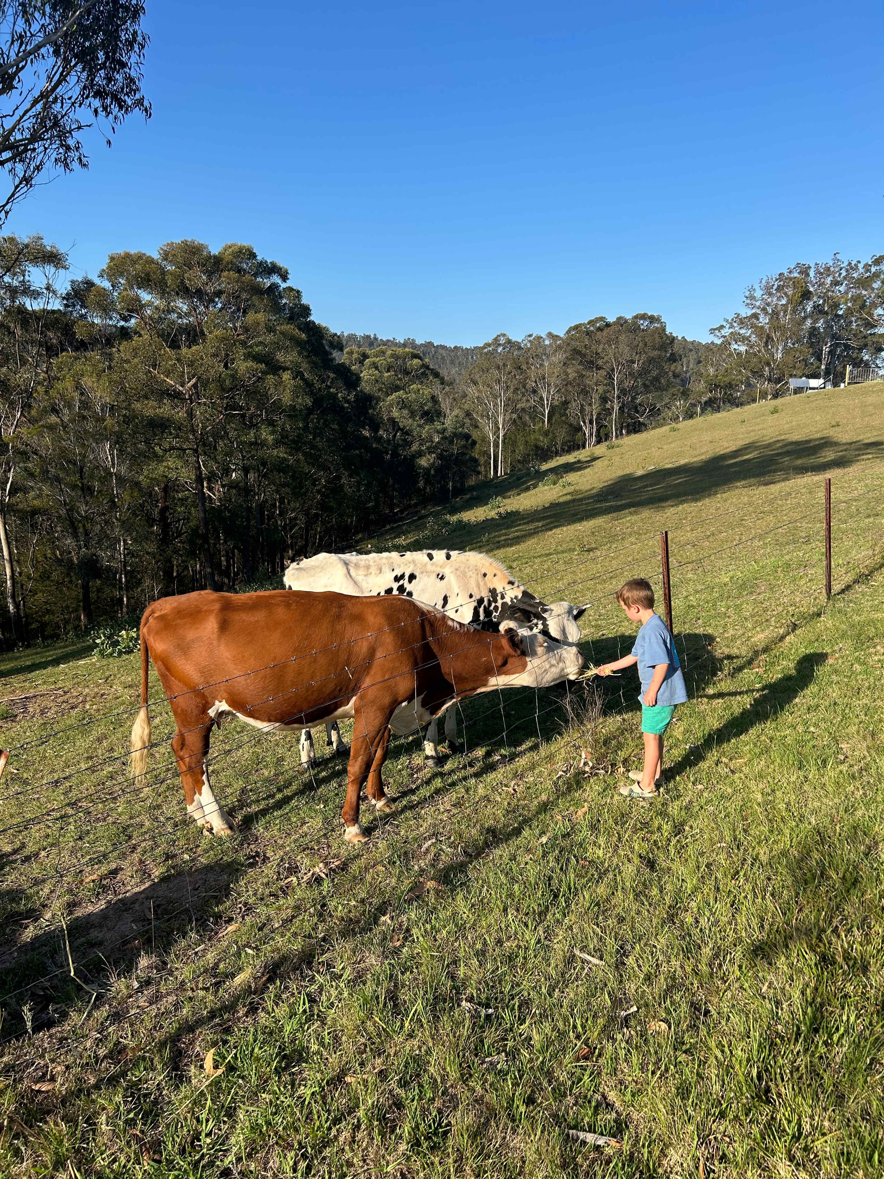 Pepper’s Farmstay South Coast