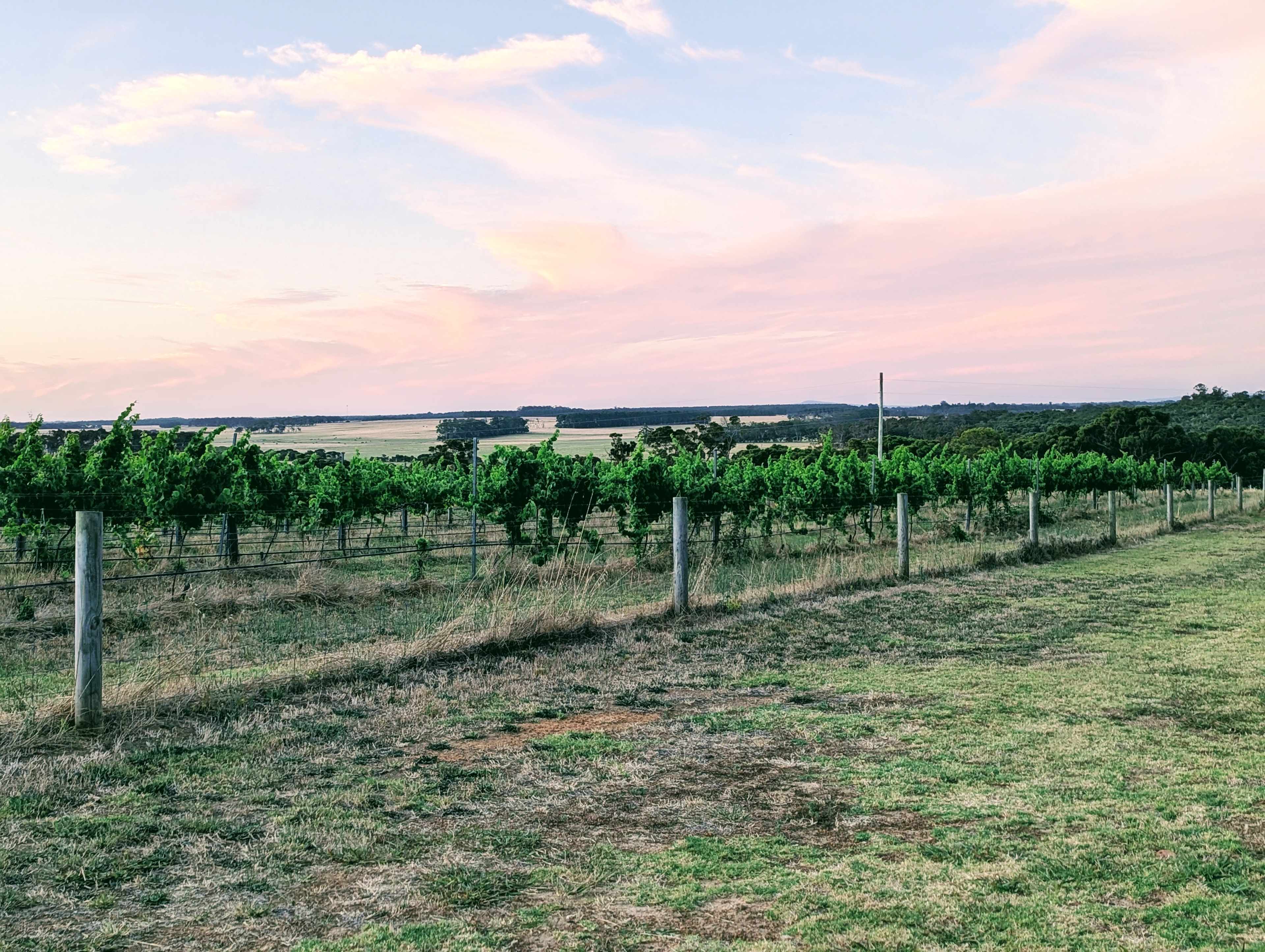 Phillips Brook Estate