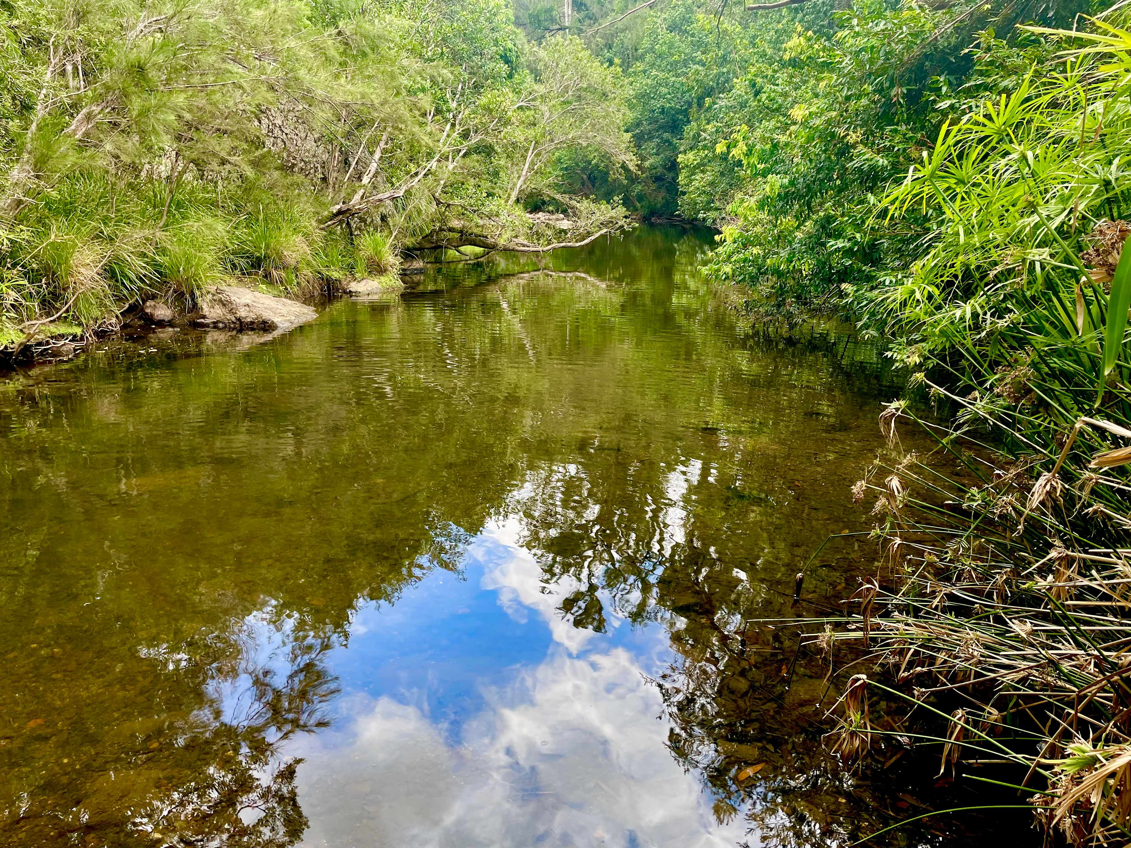Creek swimming hole