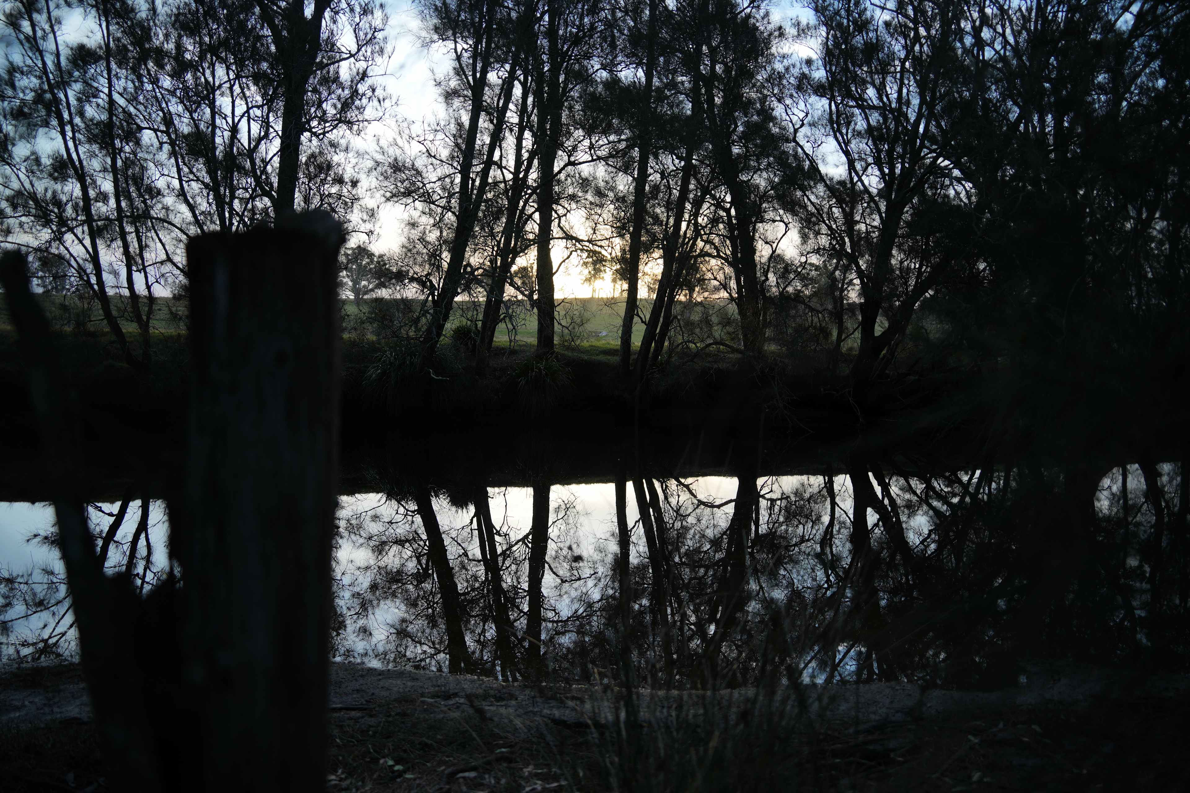 Mogo Creek Homestead - Mogo MTB