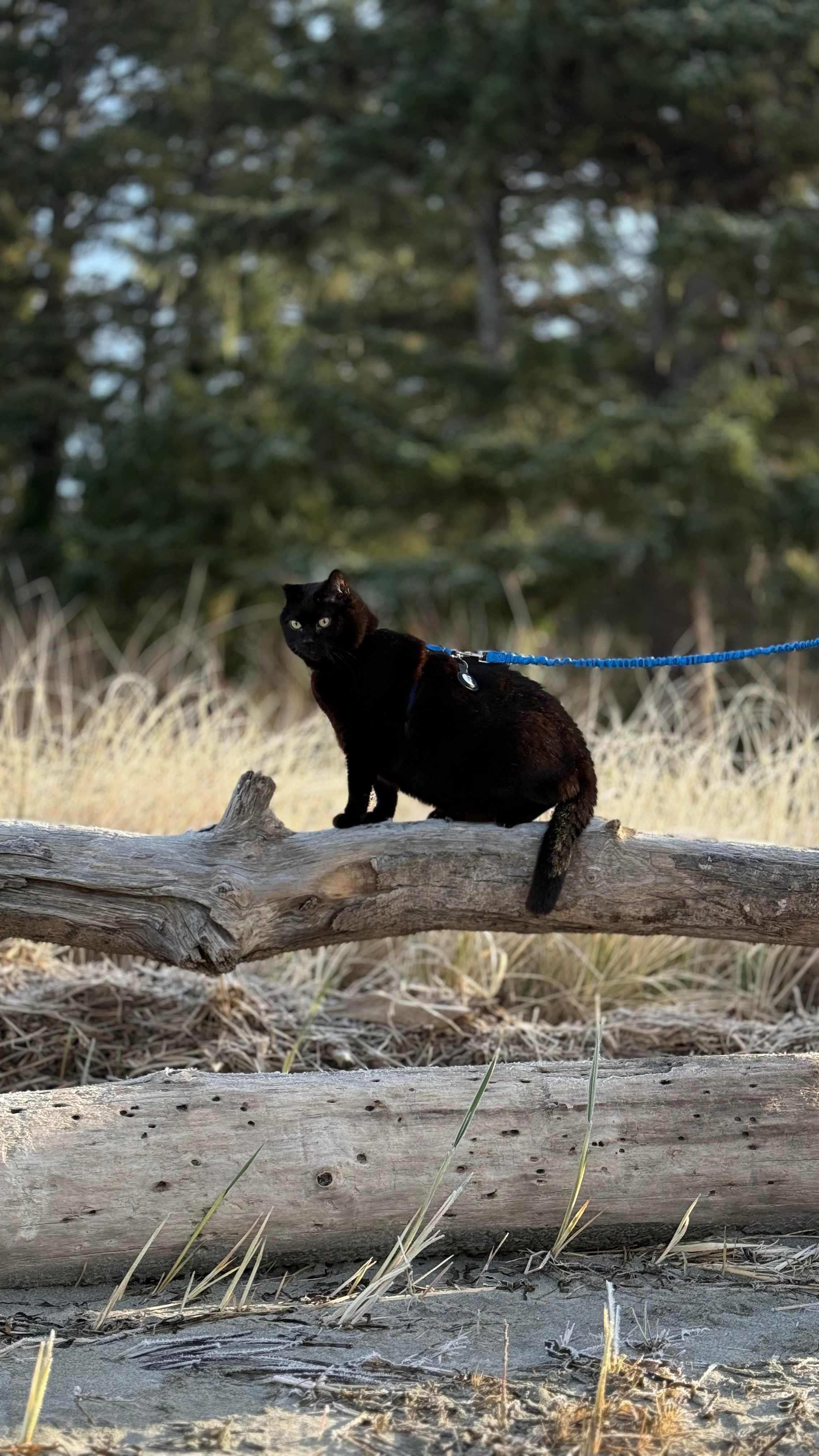 Unique Bay Front Camping - RV ONLY