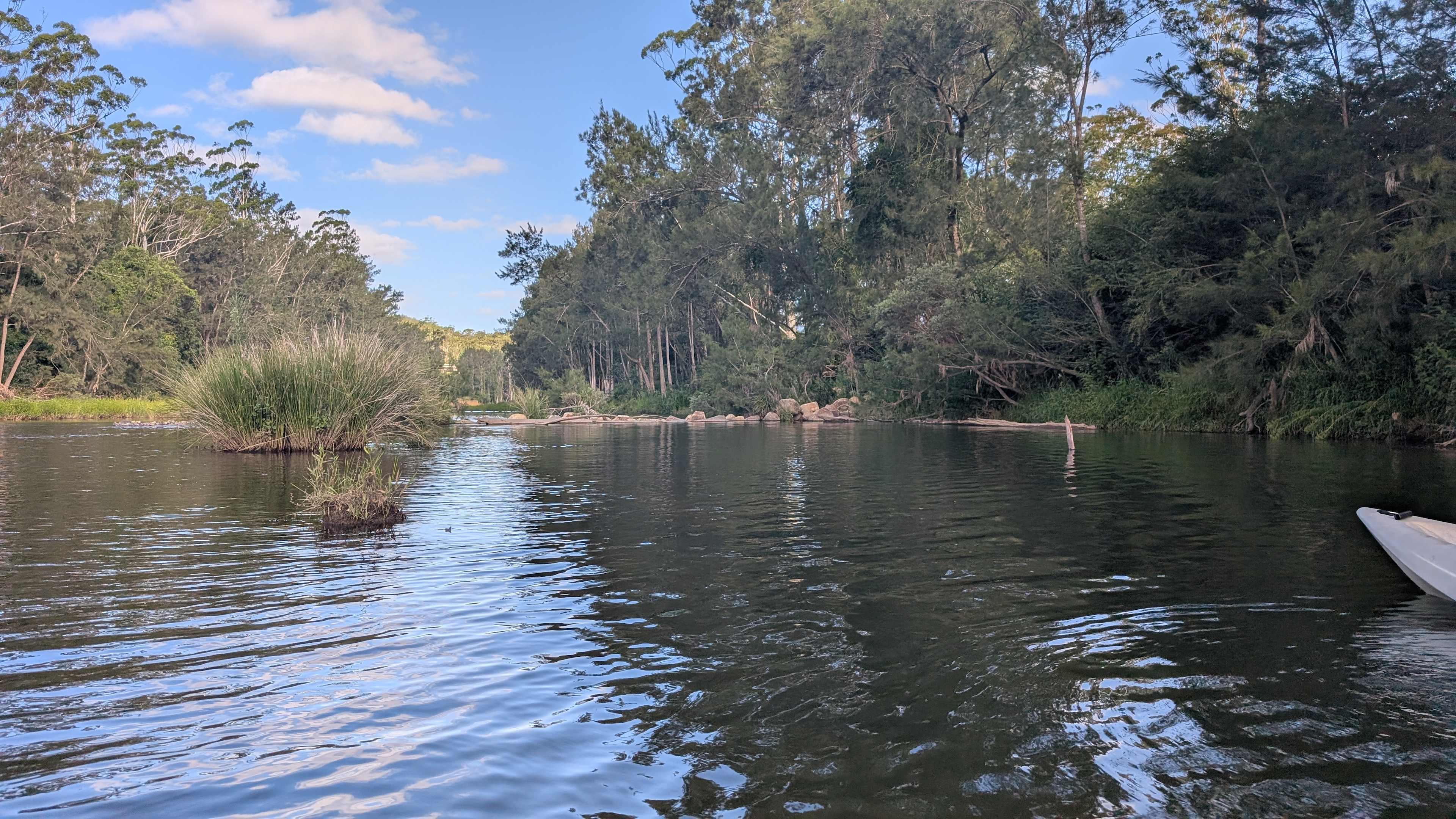Up-river looking back at the path down to the water