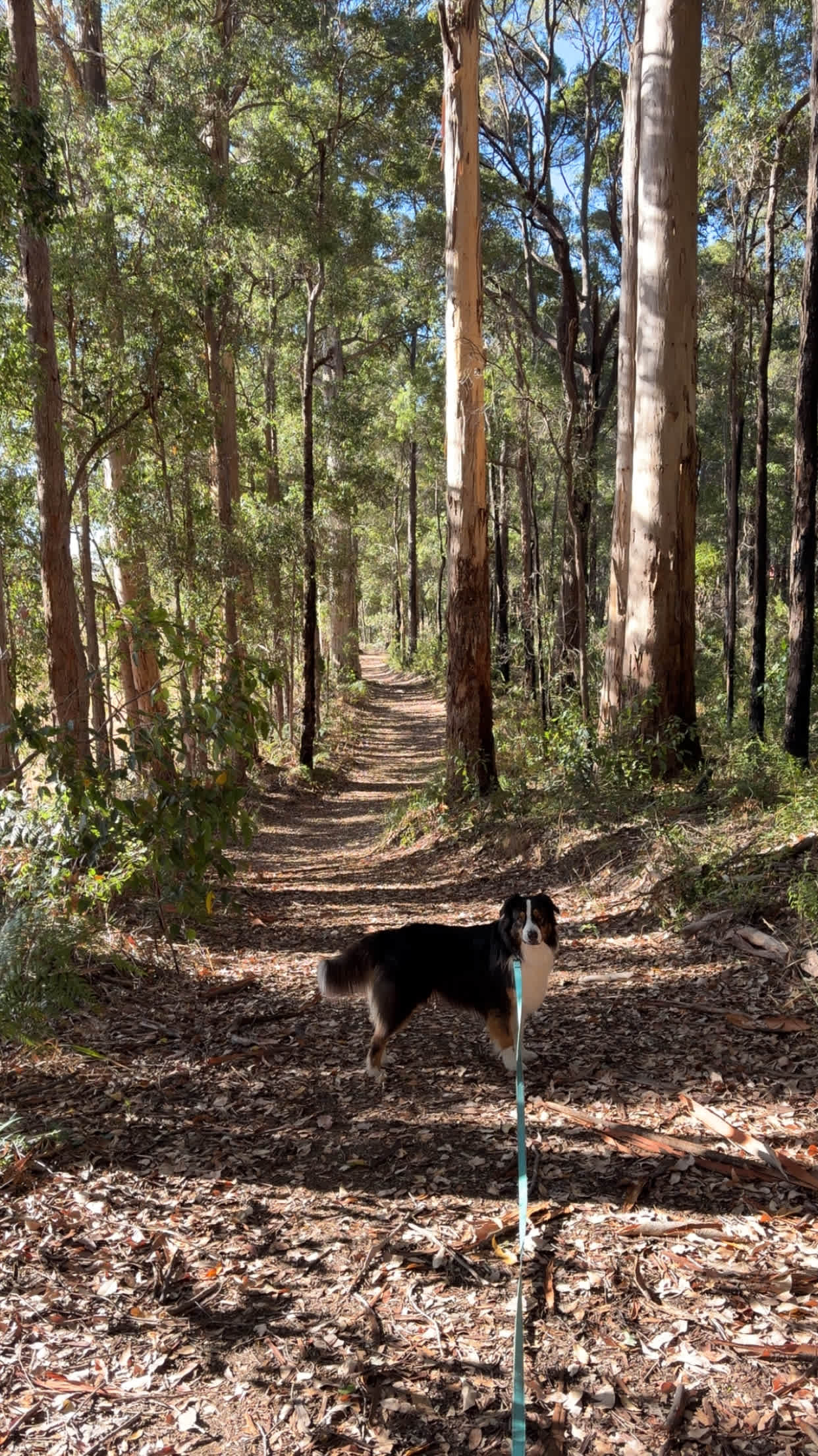 Highway Hideaway - Manjimup