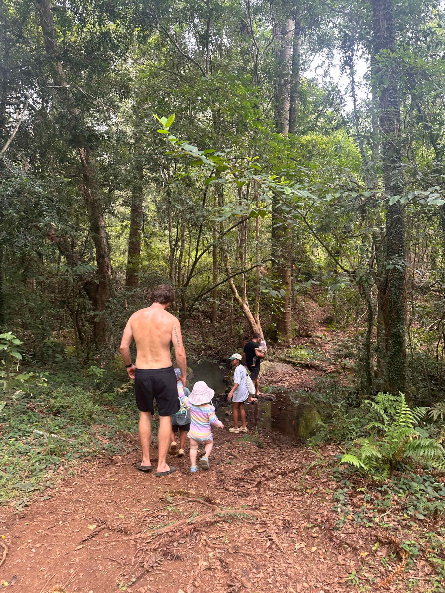 Plenty of options for walks for young and old.