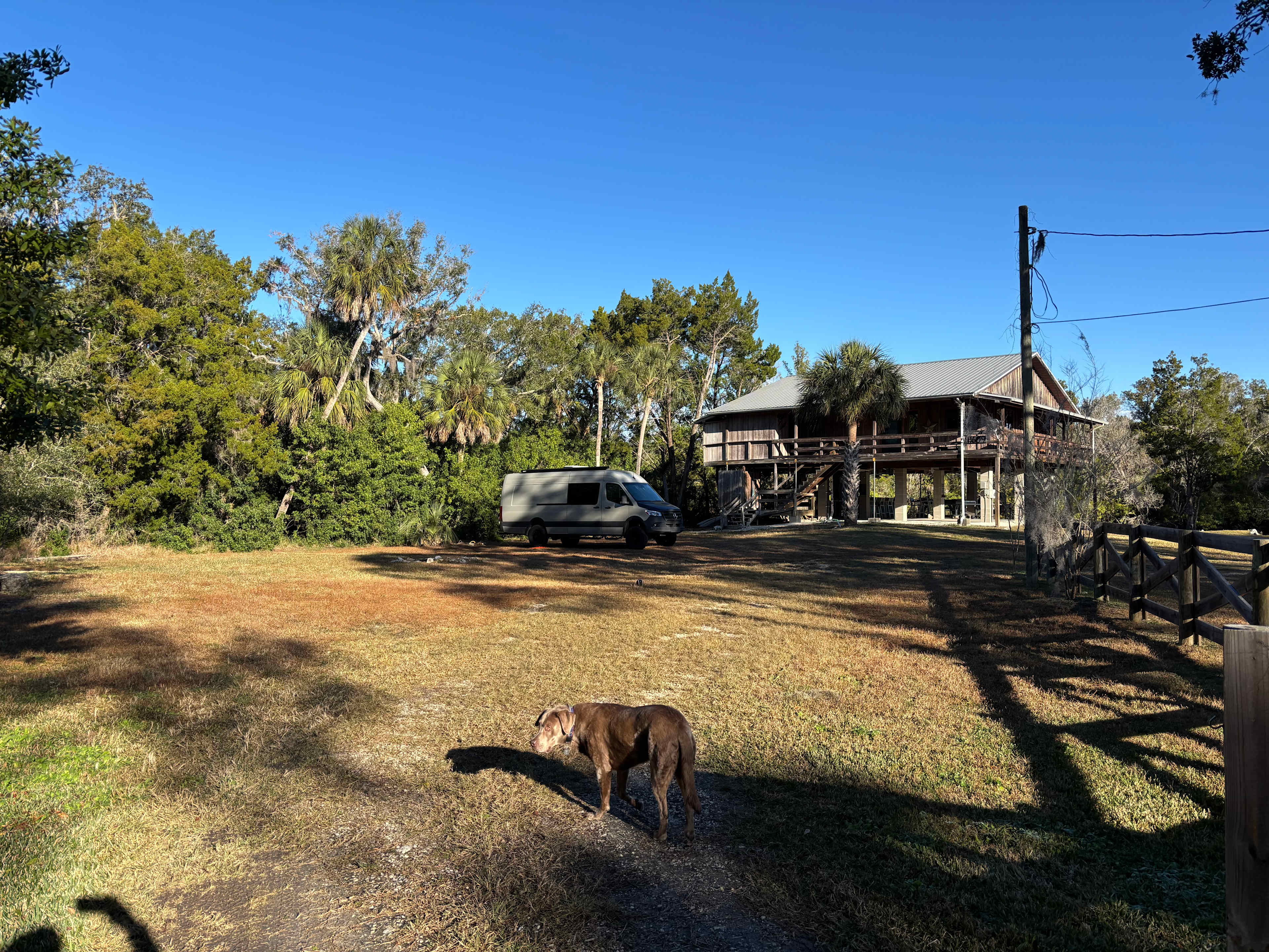 Homosassa River Escape