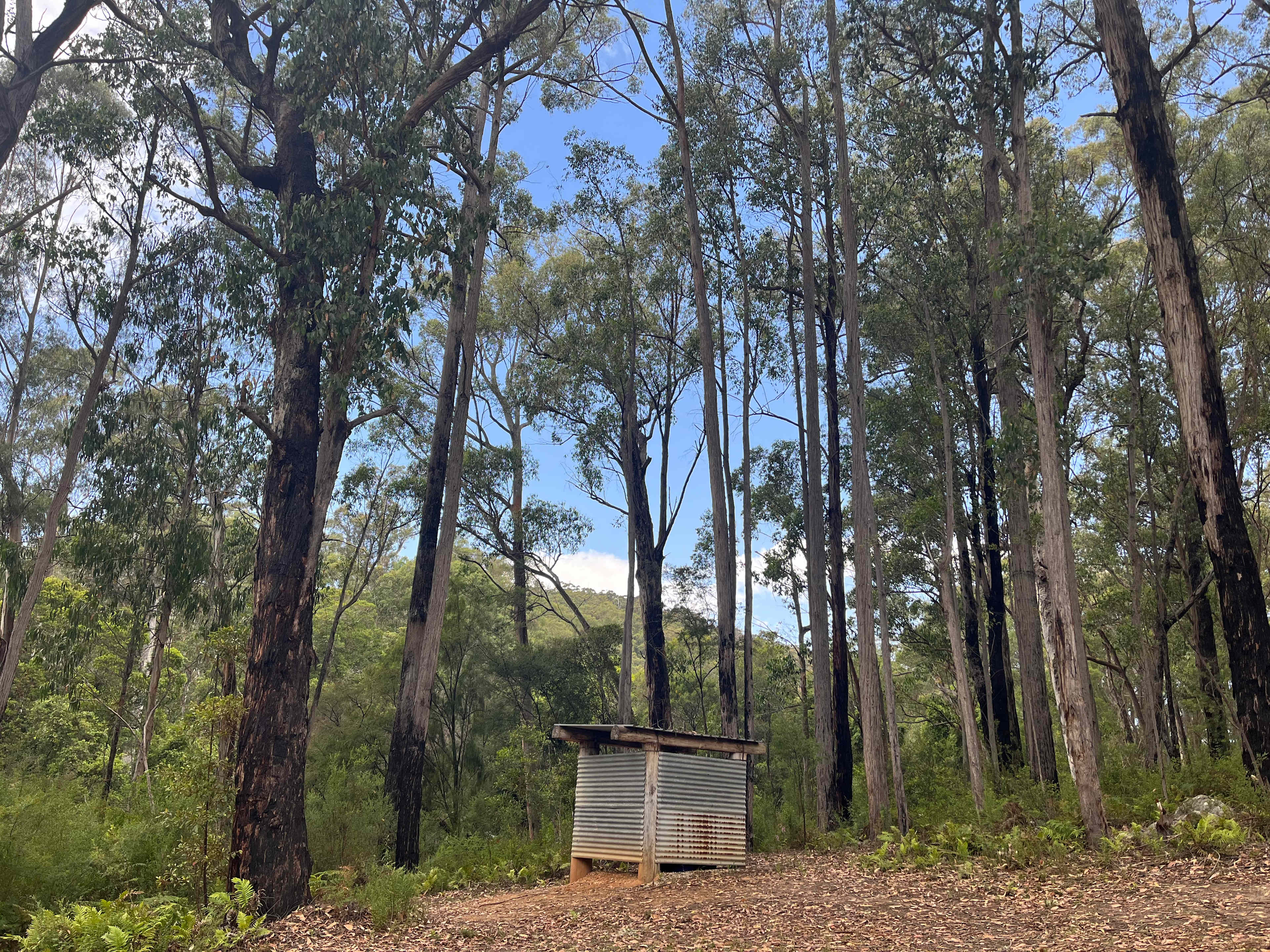 Thurra Bush Camping 