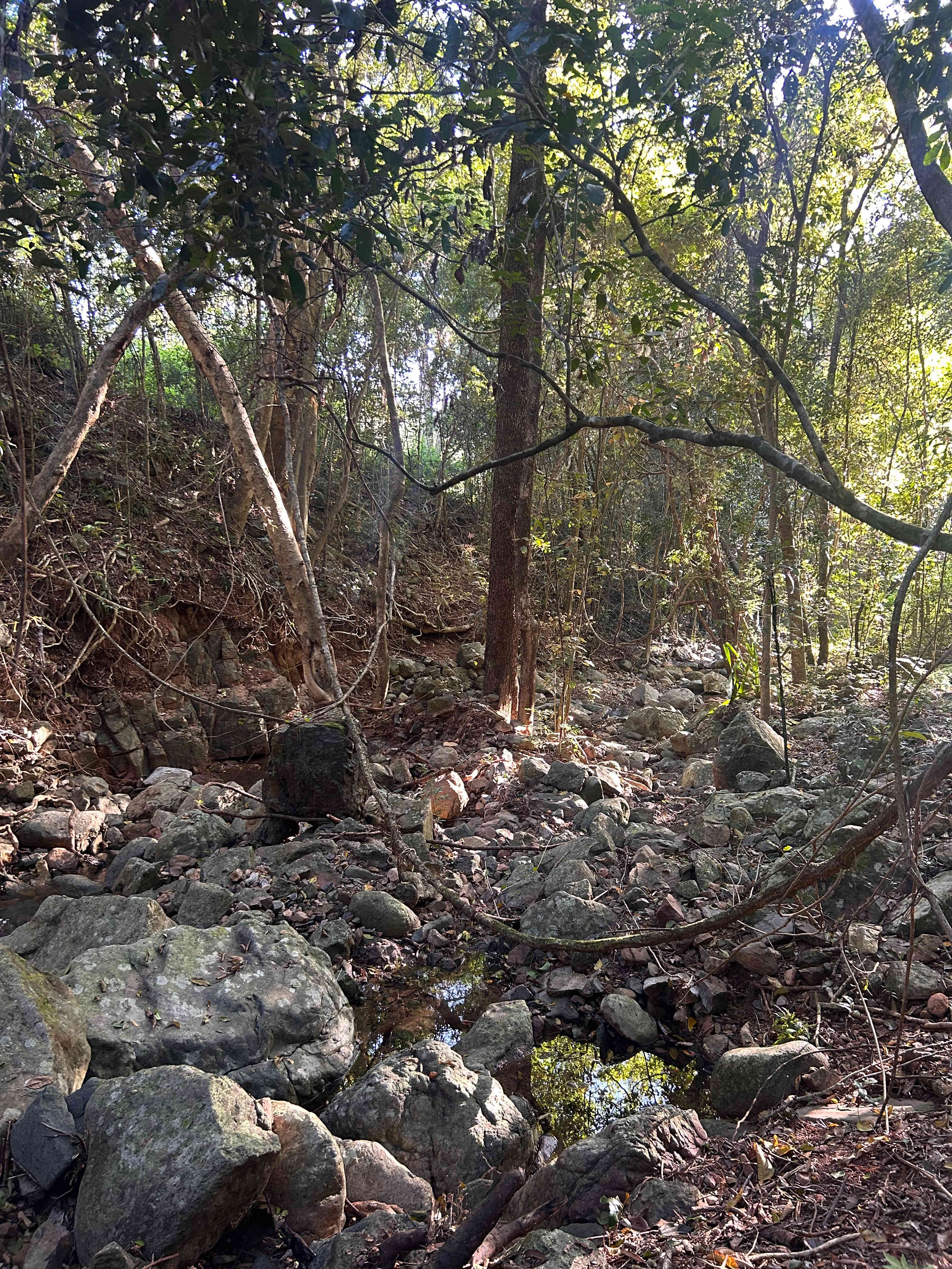 Middle Creek Dam Campsites