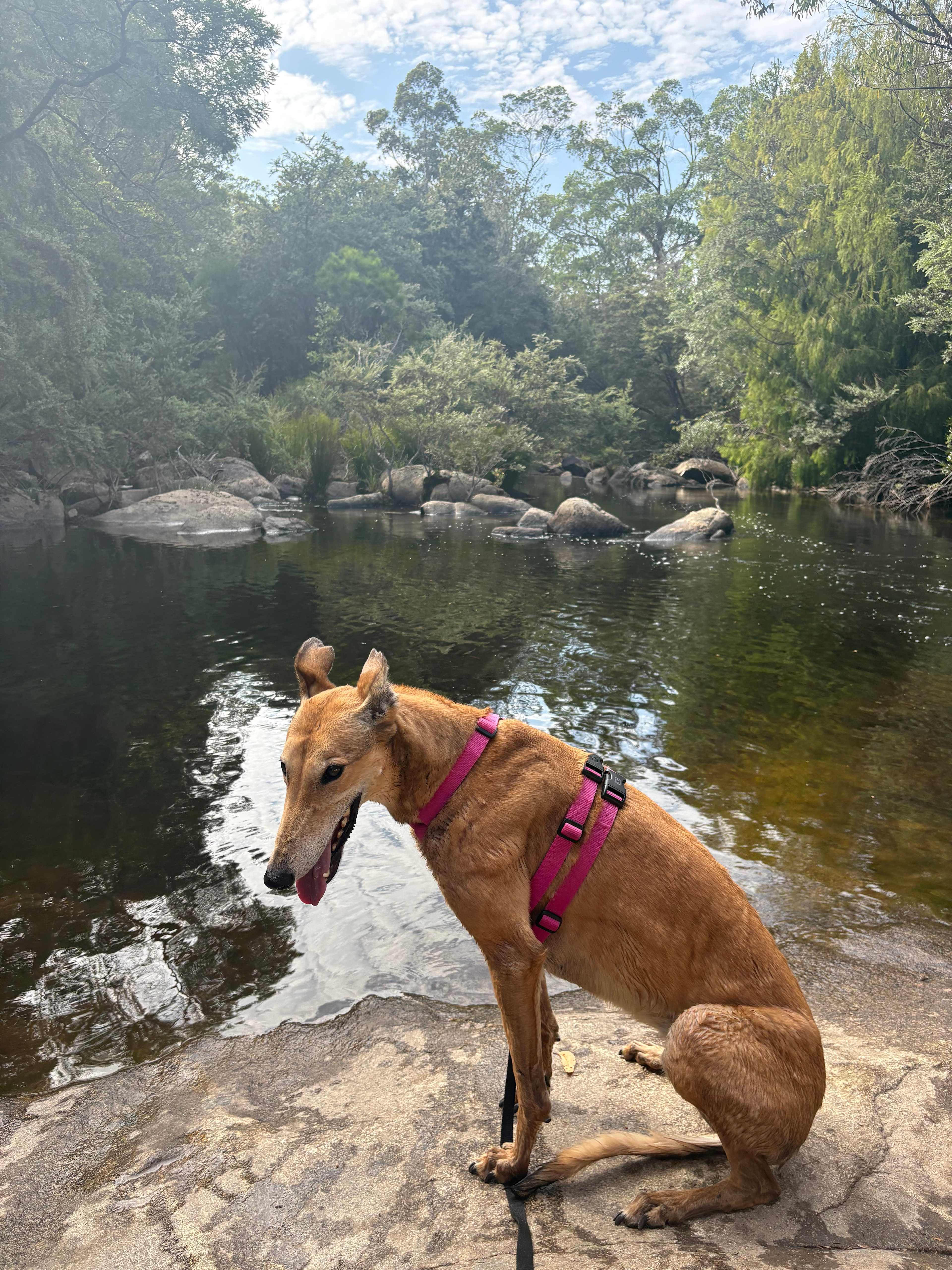 The Old Blackwood Mill