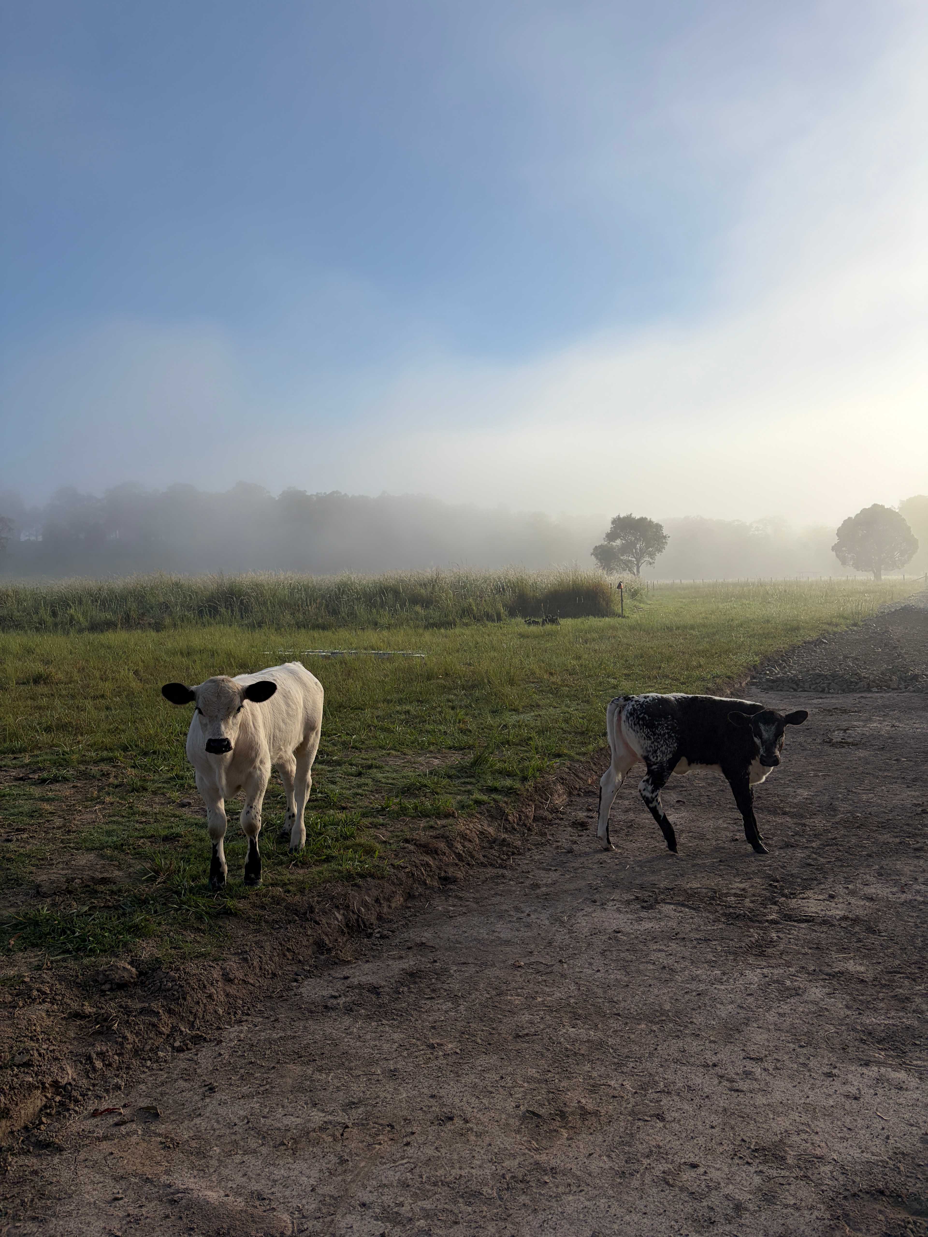 The Riverside Farm Escape Minimbah