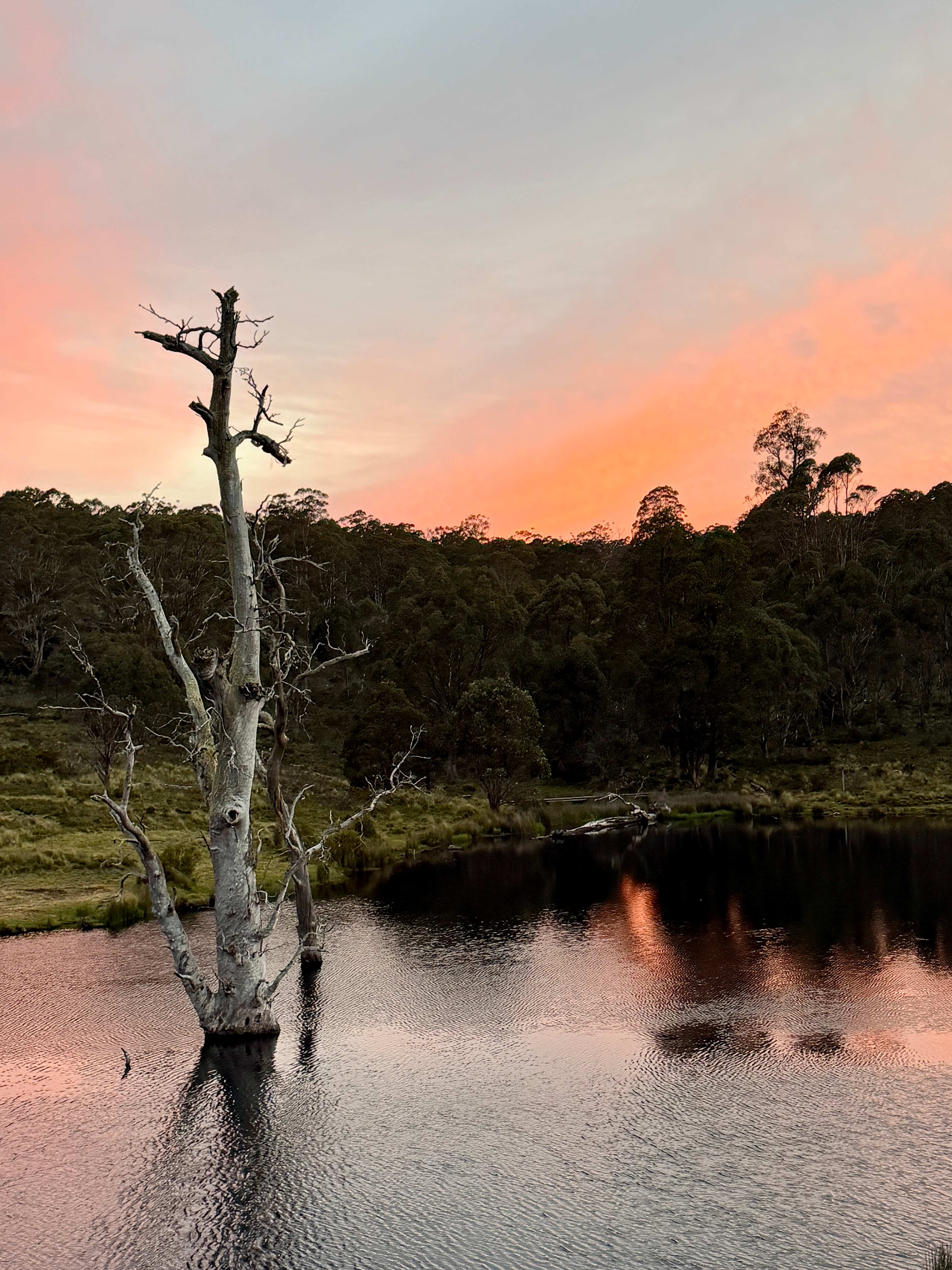 Cradle Mountain Fishery and Camping