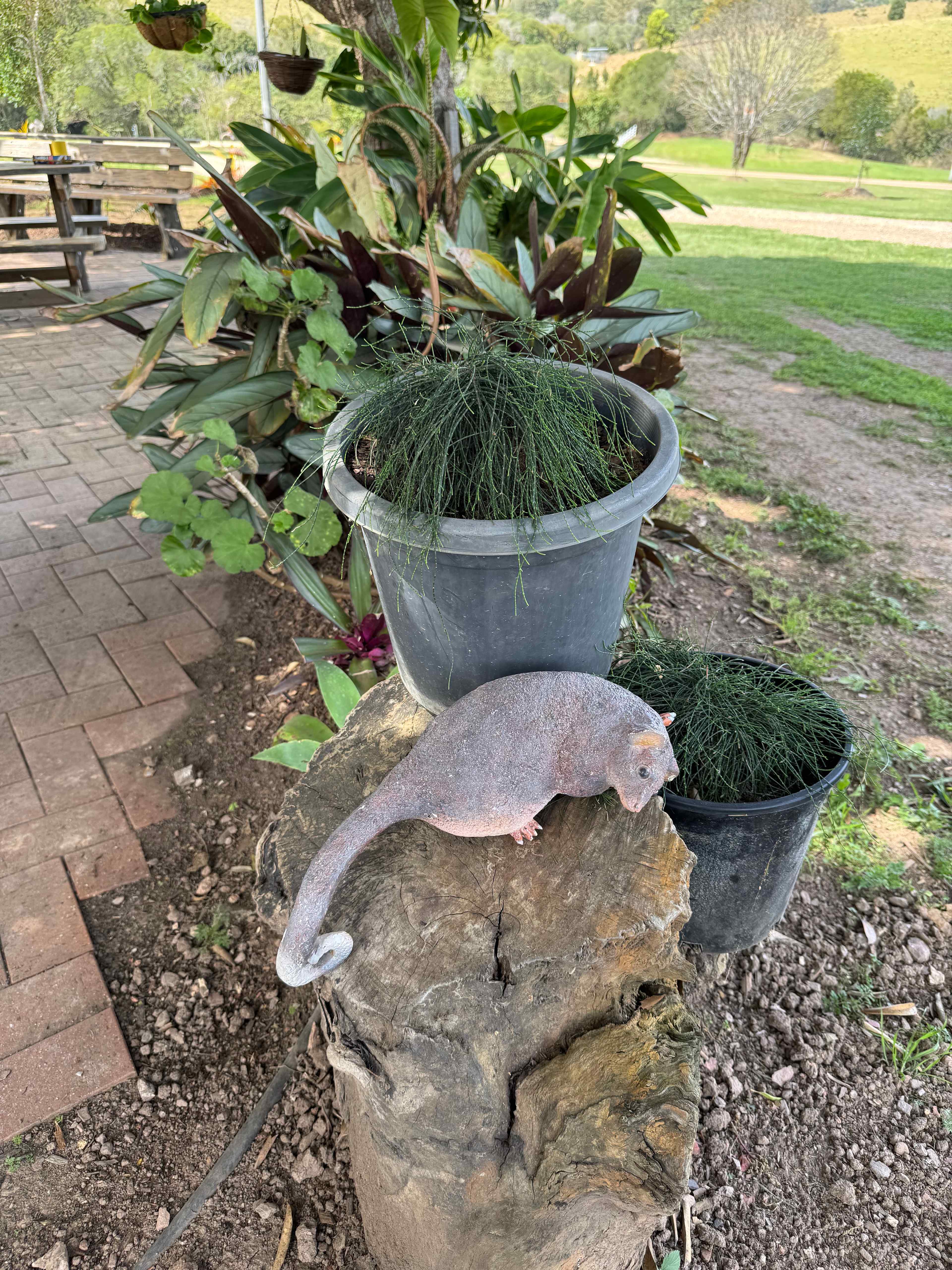 Sandycreek Homestead