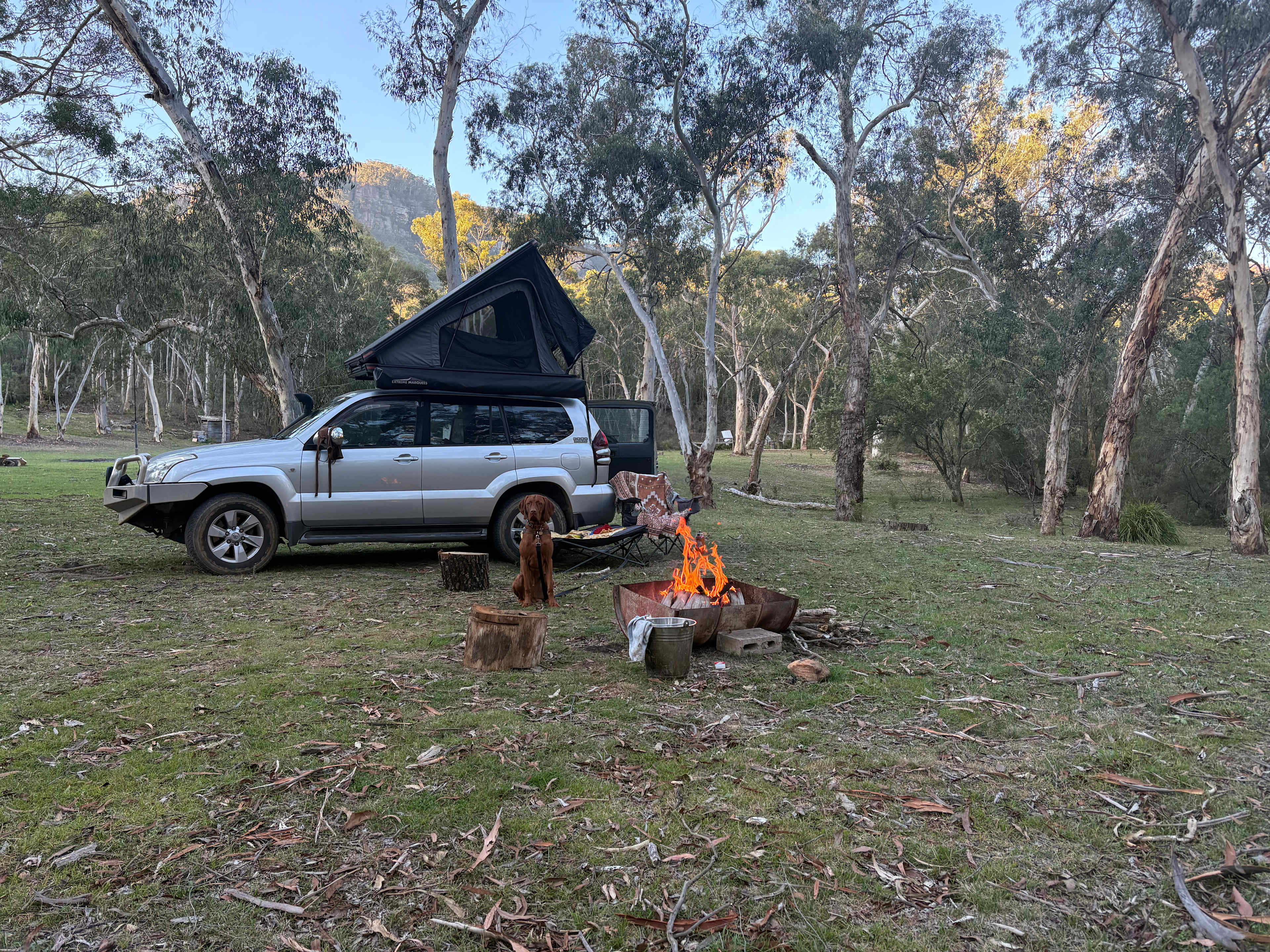 Nellies Glen Camping