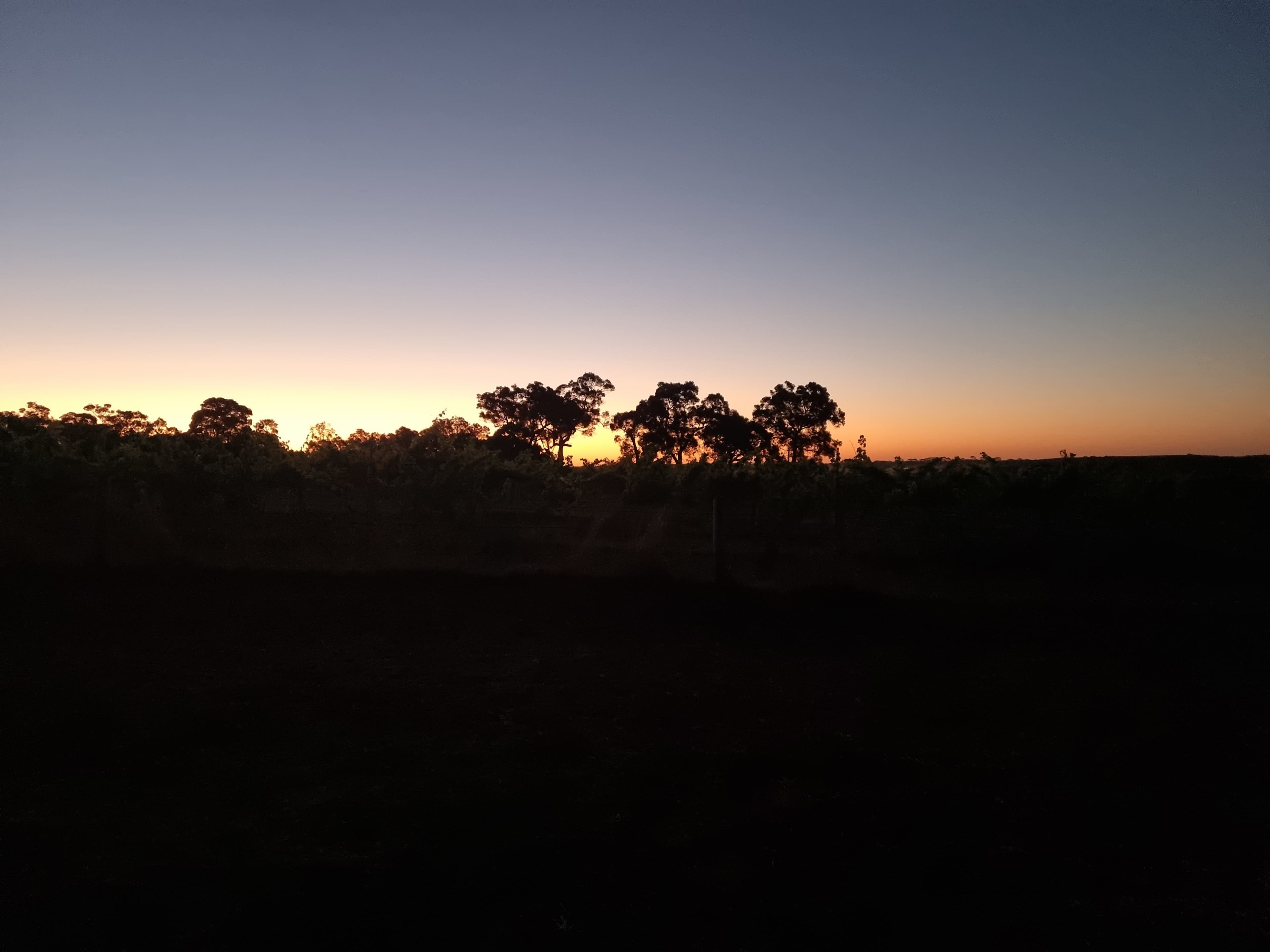 Phillips Brook Estate