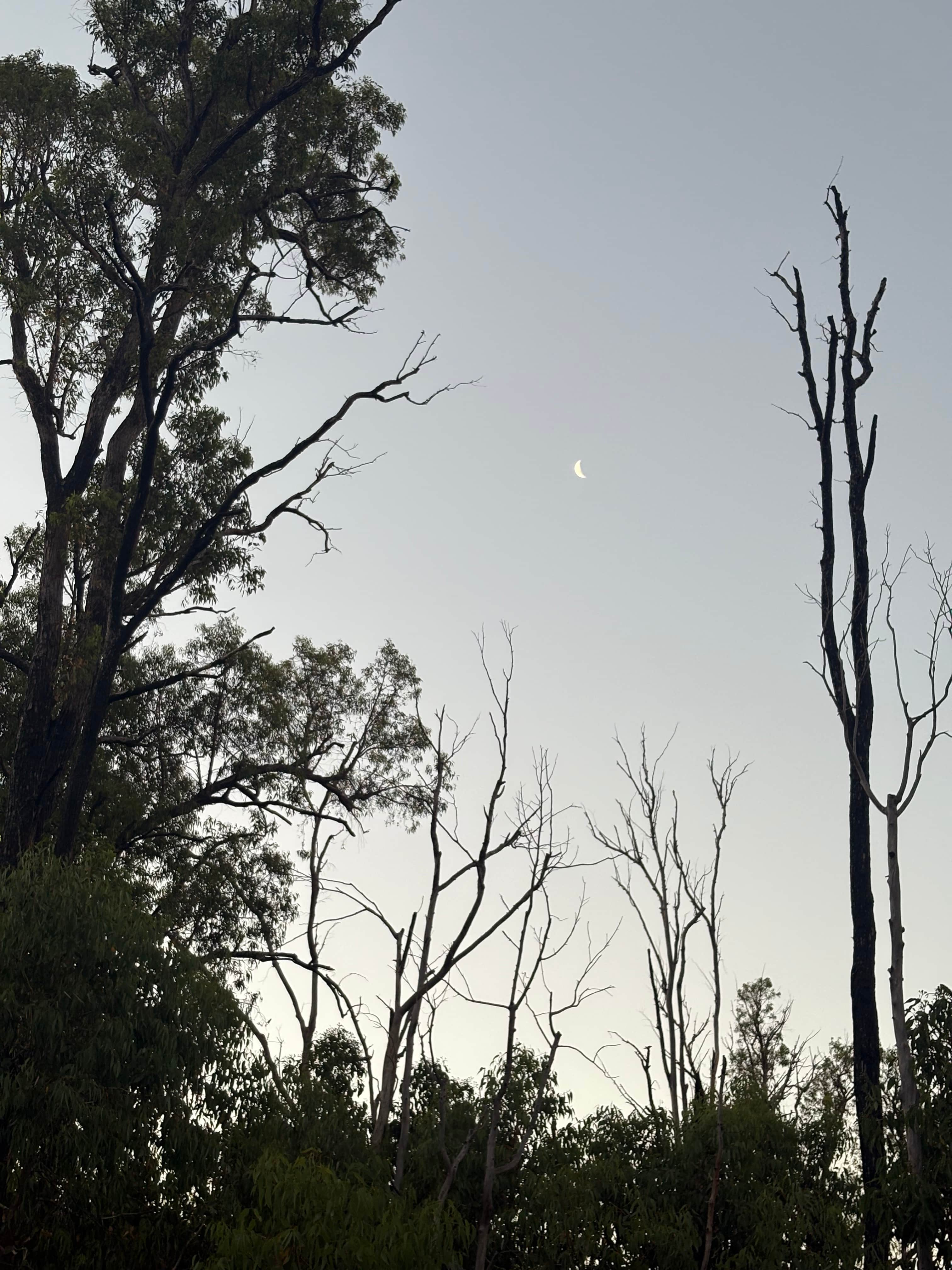 Murray Valley Camping