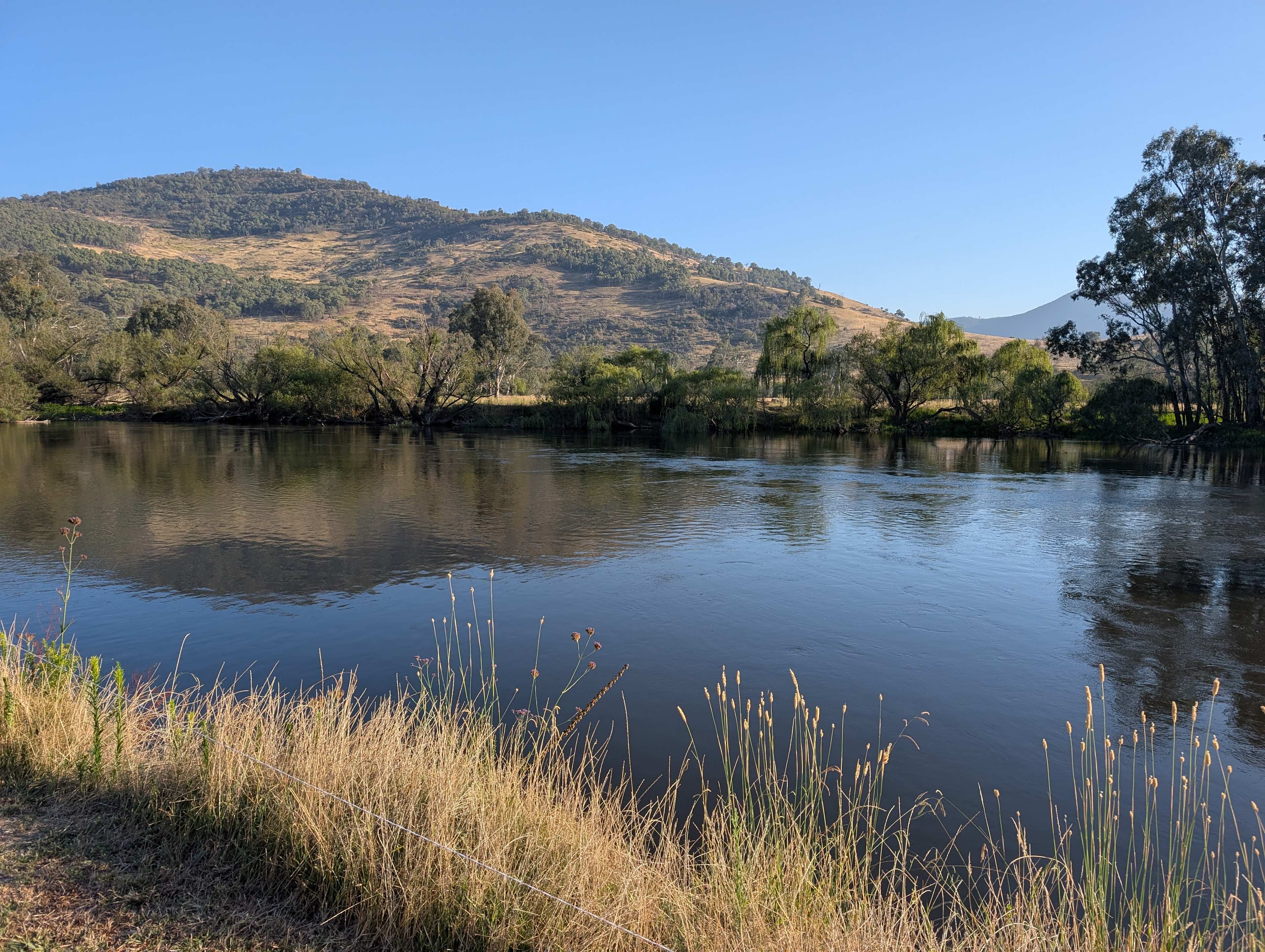 The view from our tent on the Murray river!