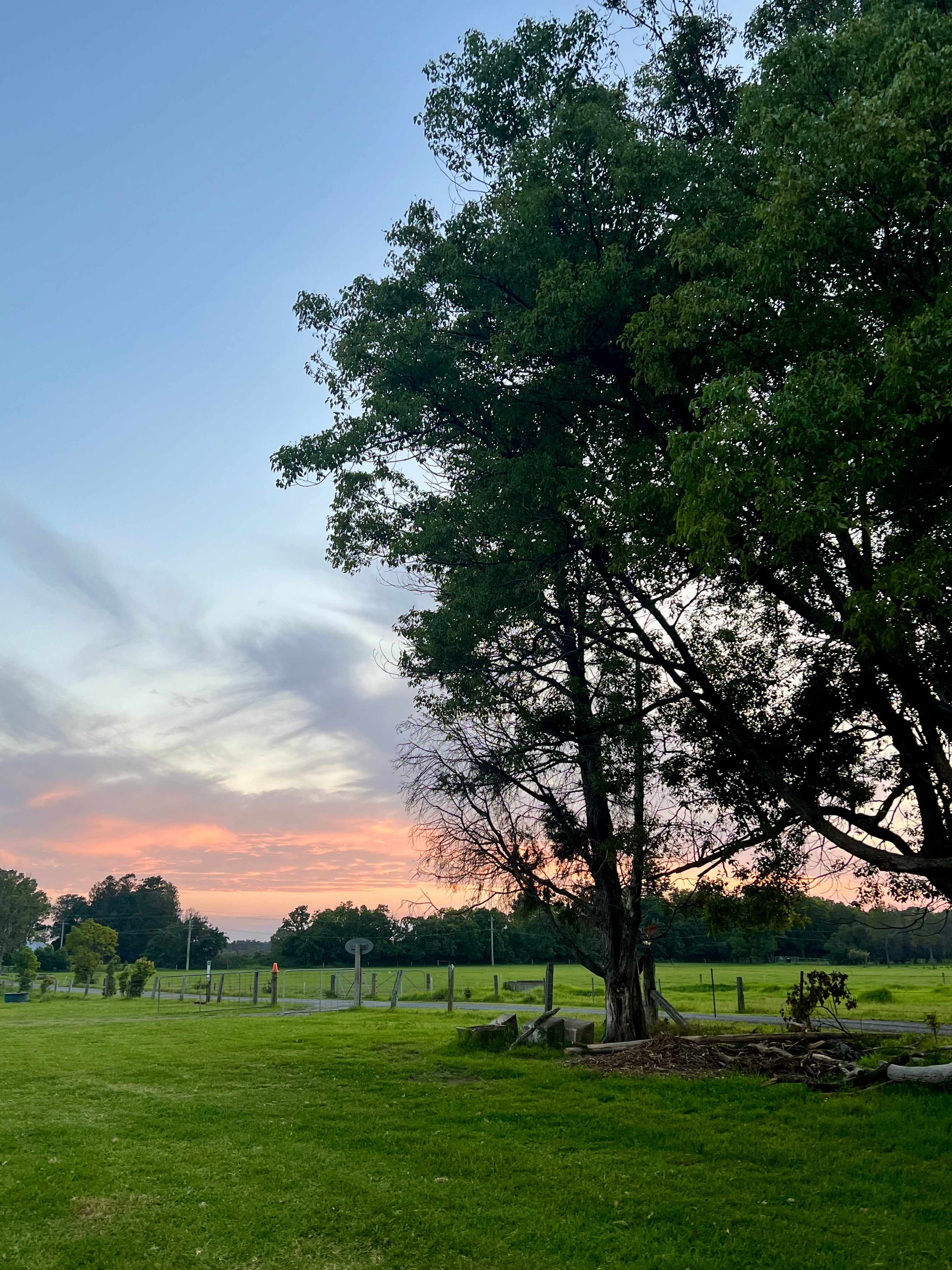 Misty Mountain Farm - Farm Stay