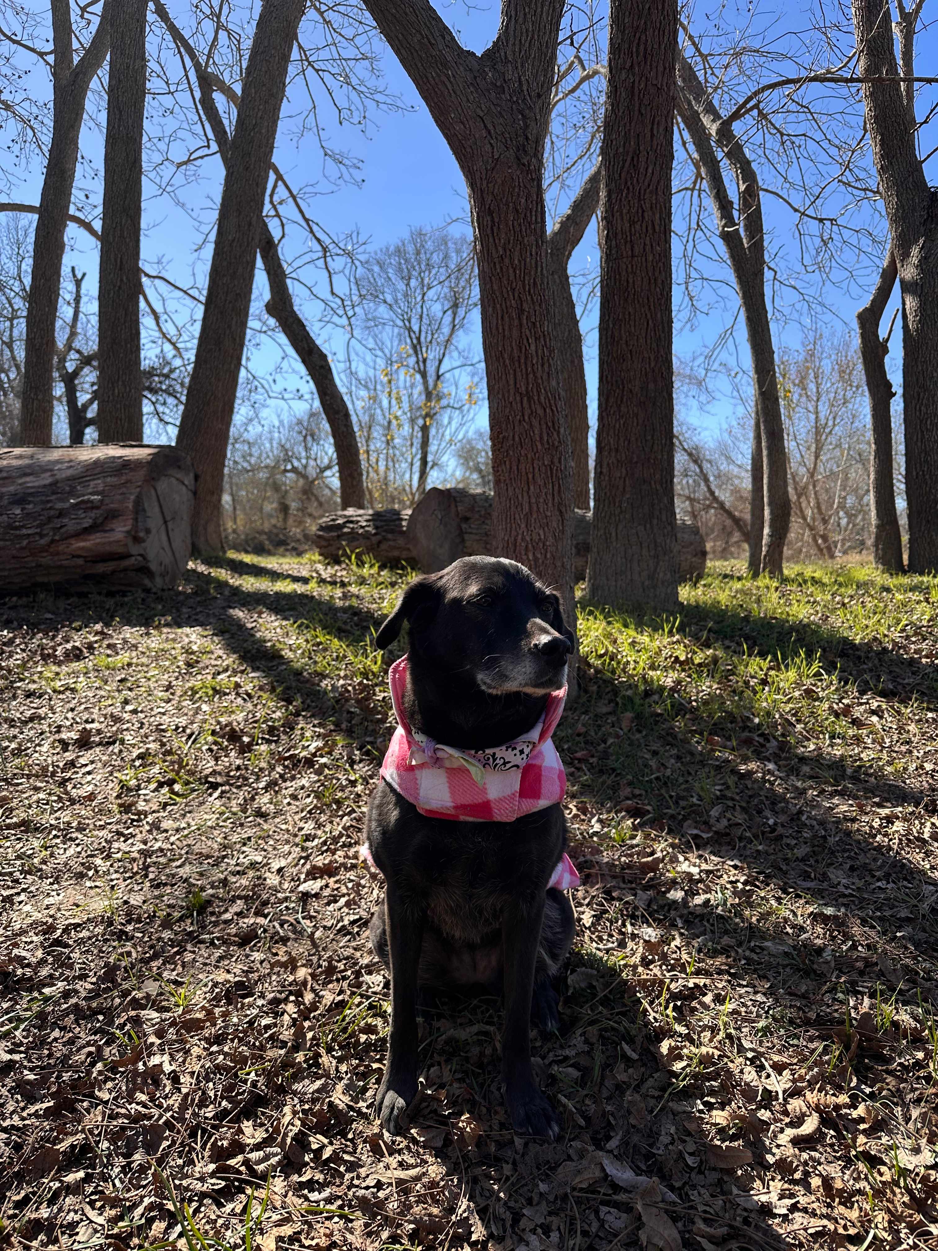 River Grove Campground