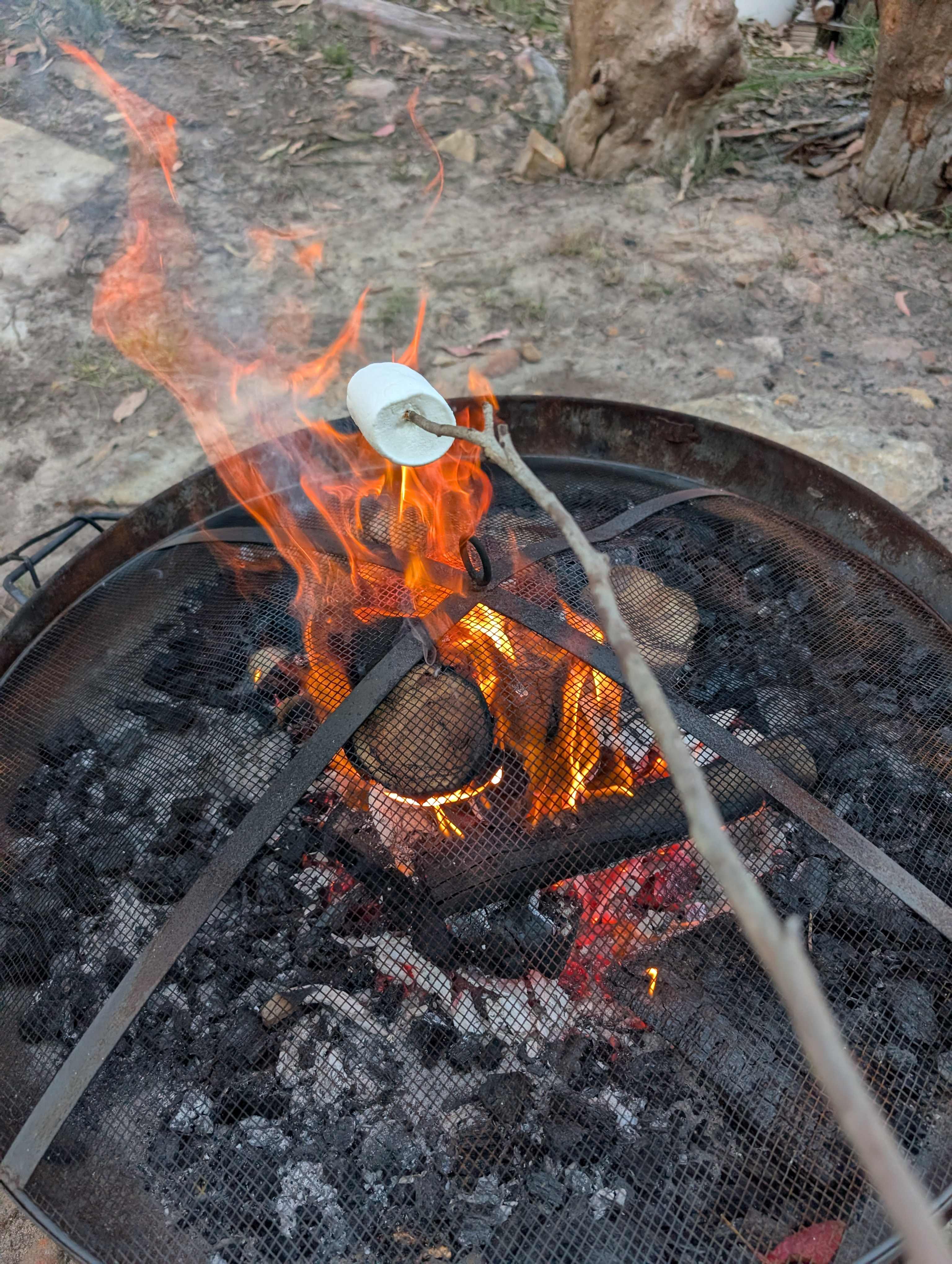 Rosewood Farm's Riverside Glamping