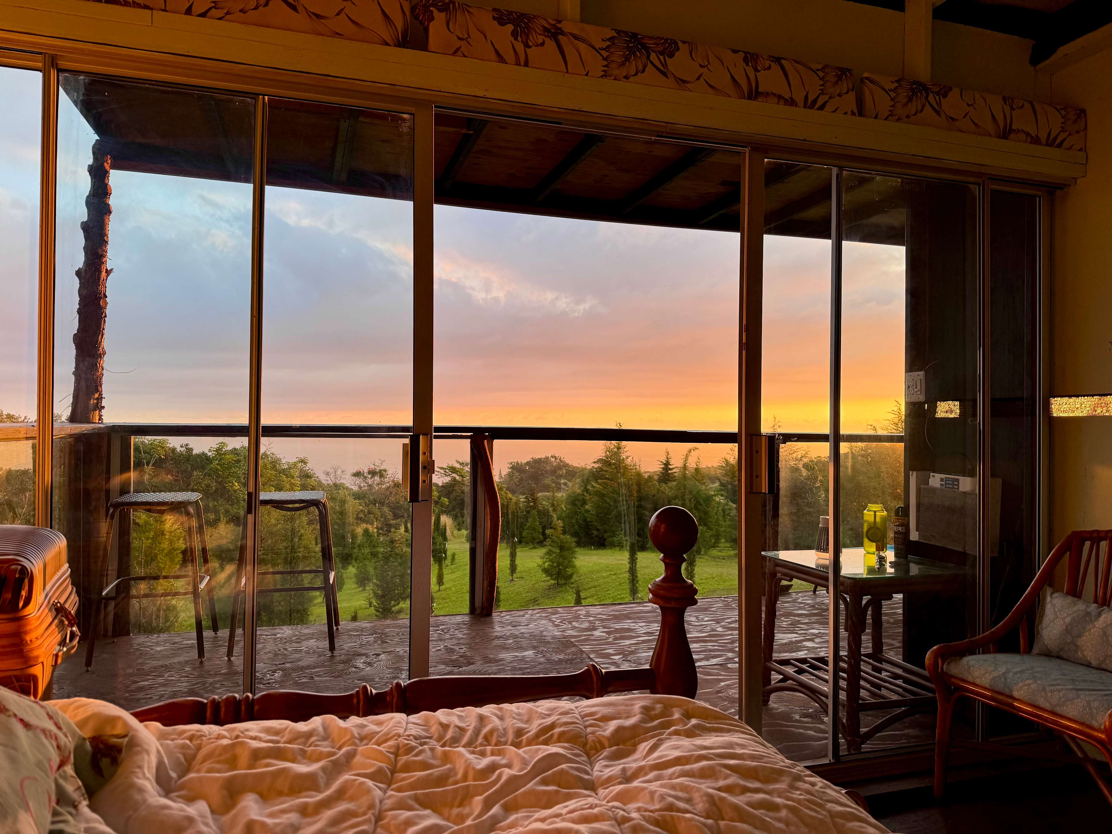 Hamakua Christmas Tree Forest